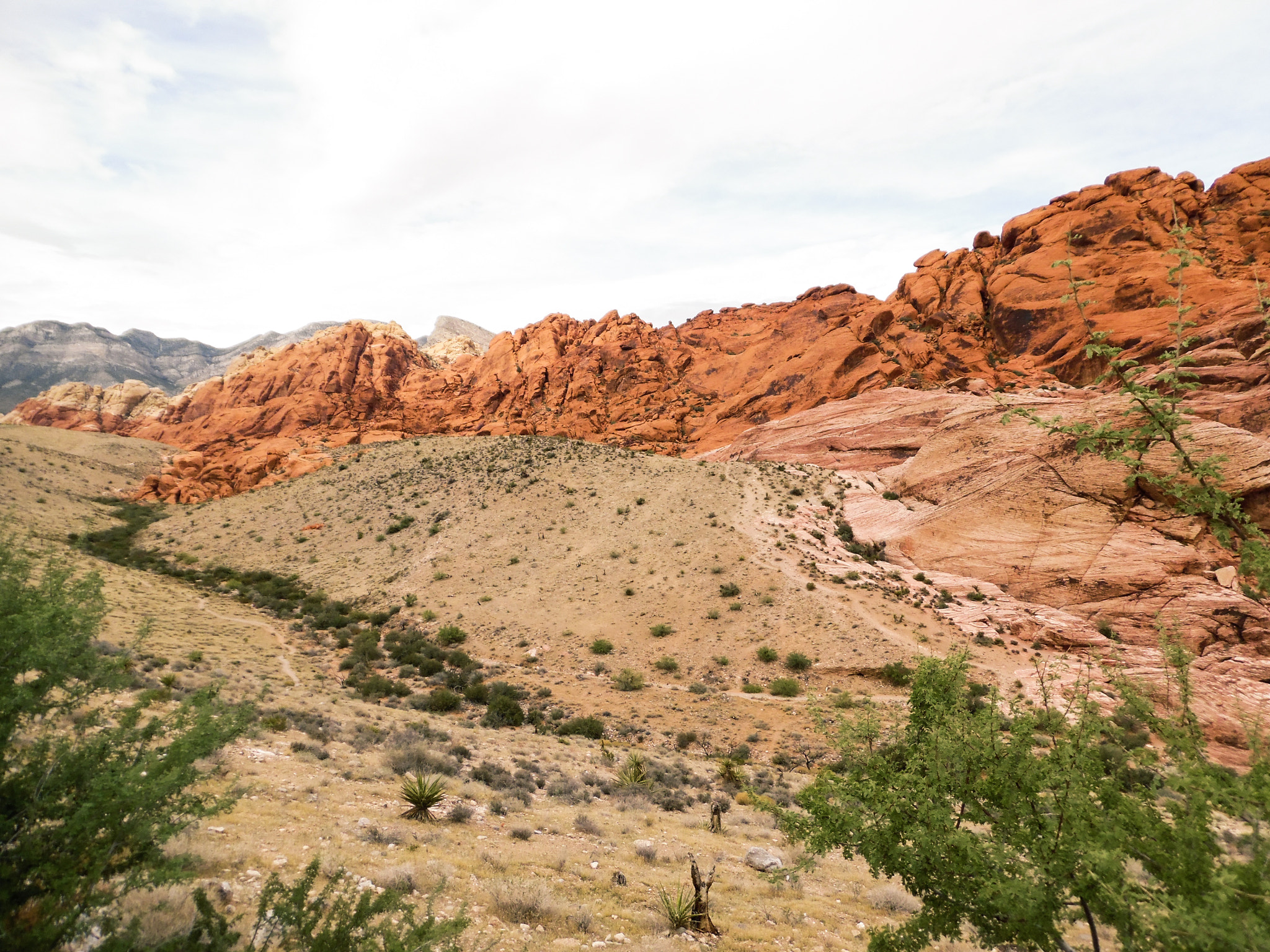 Samsung WB35F/WB36F/WB37F sample photo. Red rock canyon photography