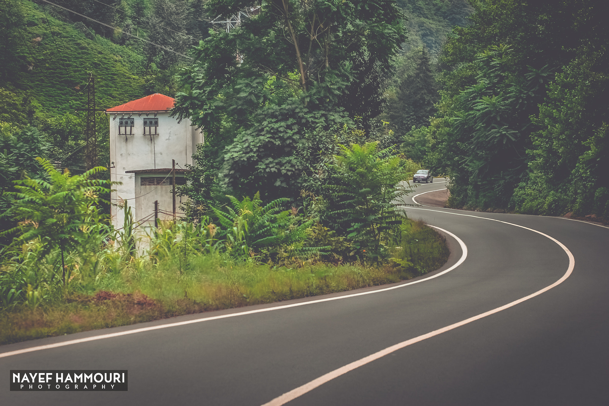 Canon EOS 60D + Canon EF 85mm F1.8 USM sample photo. Road in nature photography
