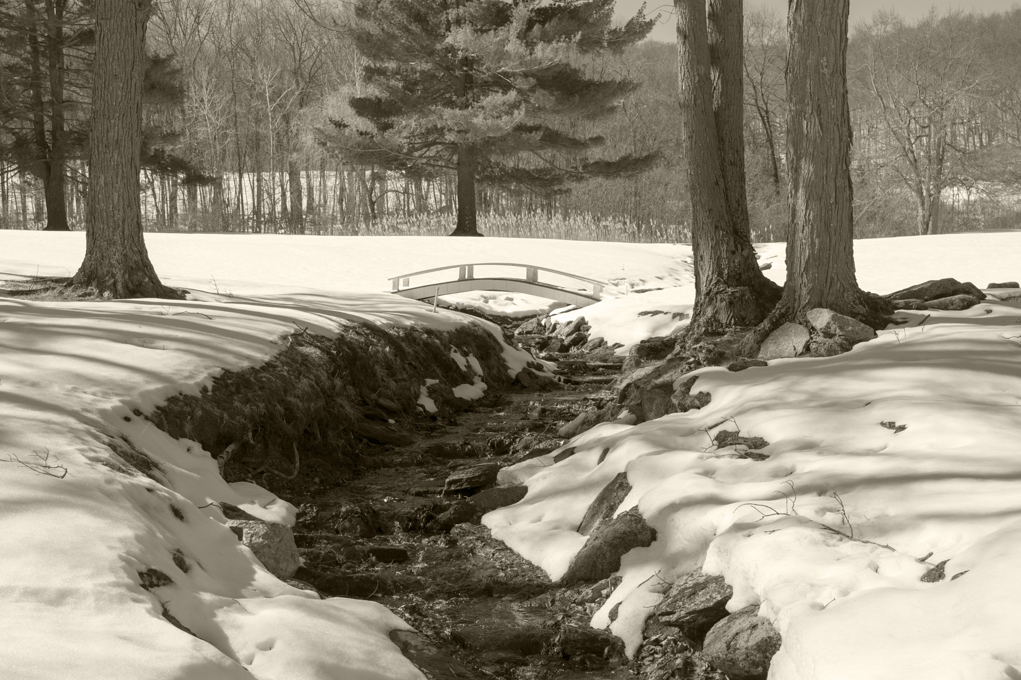 Nikon D7200 sample photo. Winter scenes of a golf course photography