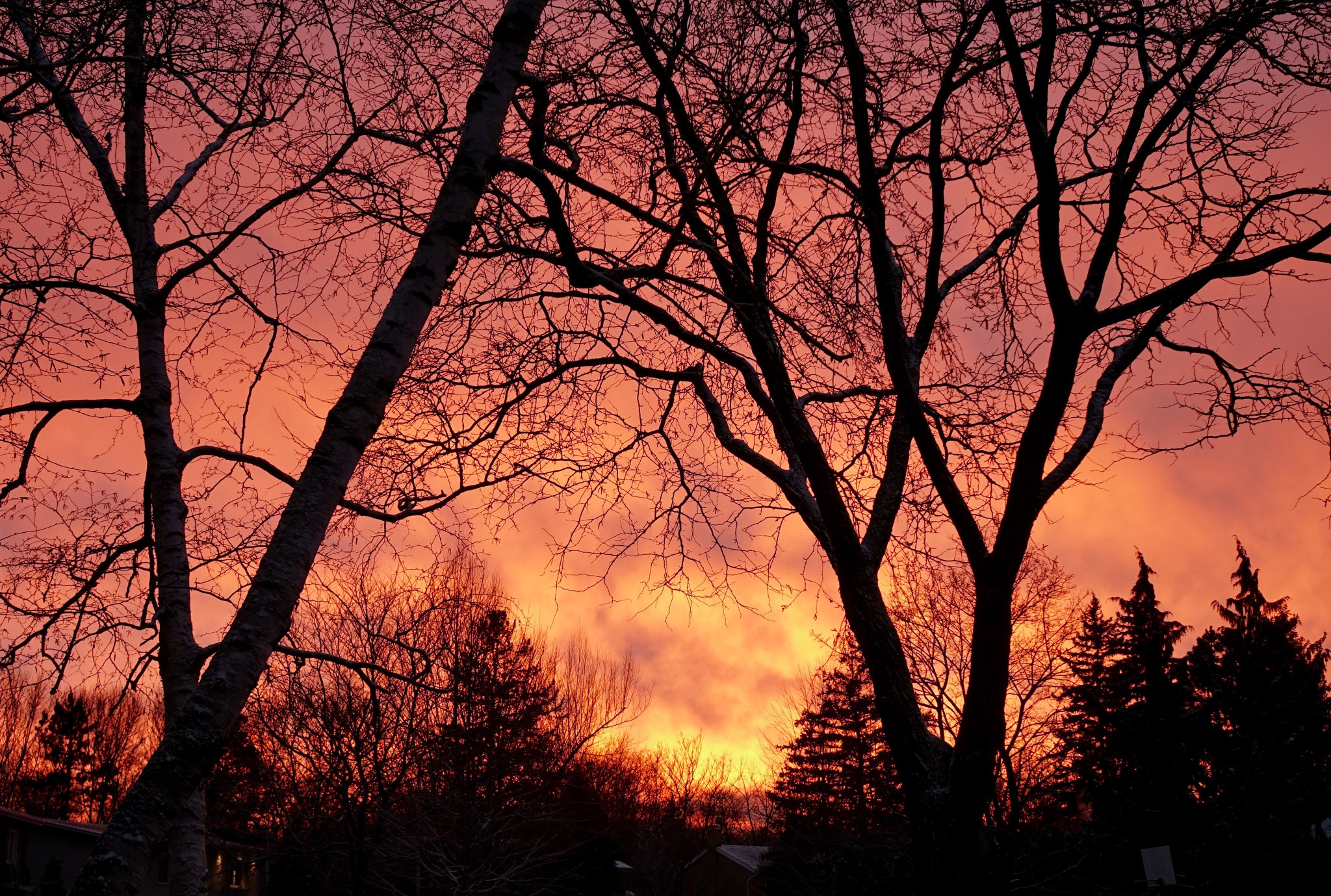 Sony Cyber-shot DSC-RX10 II + Sony 24-200mm F2.8 sample photo. Winter sunset. photography