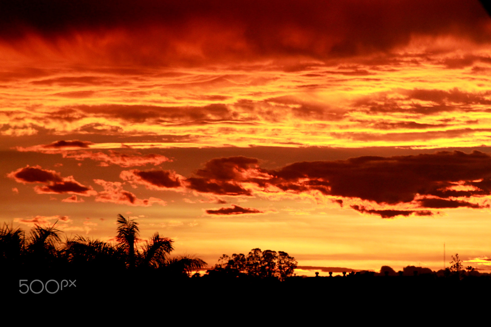 Canon EF 75-300mm f/4-5.6 USM sample photo. Sky on fire photography
