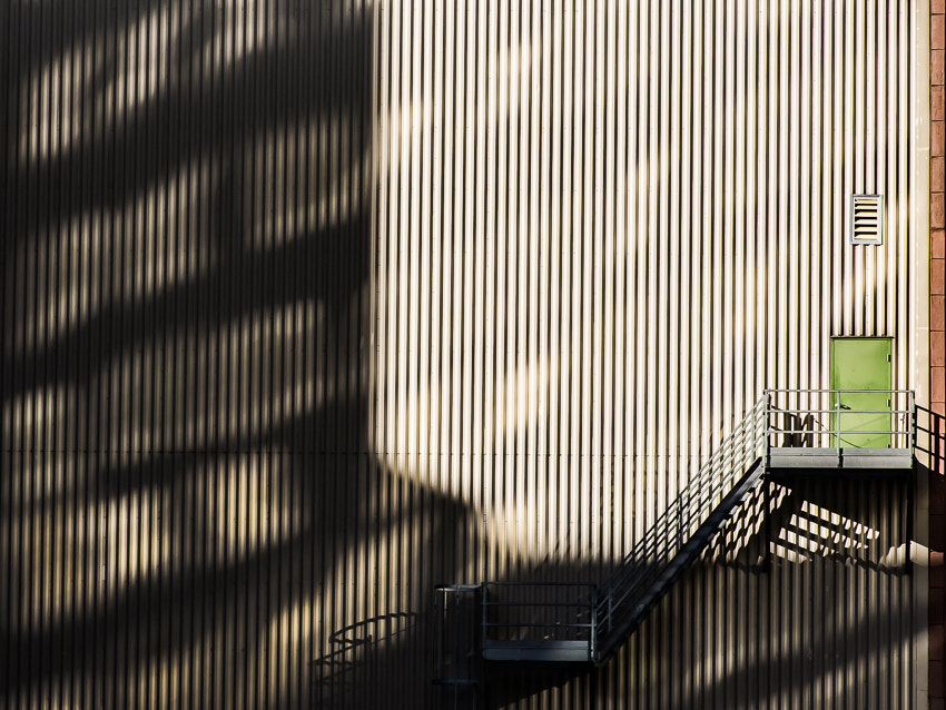 Pentax smc DA* 50-135mm F2.8 ED (IF) SDM sample photo. Lines of lines photography