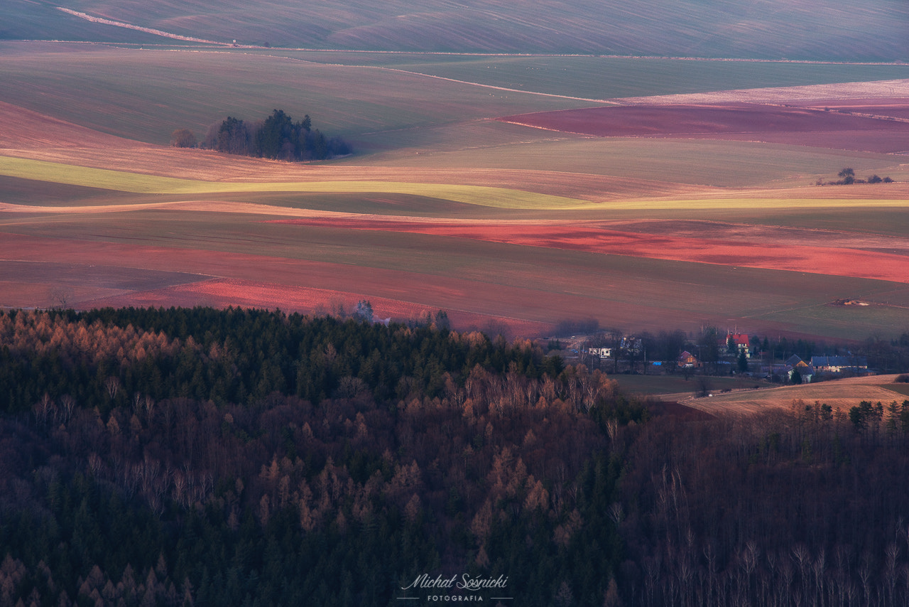 Pentax K-1 + Sigma EX APO 100-300mm F4 IF sample photo. Morawskie klimaty ze szczelińca... photography
