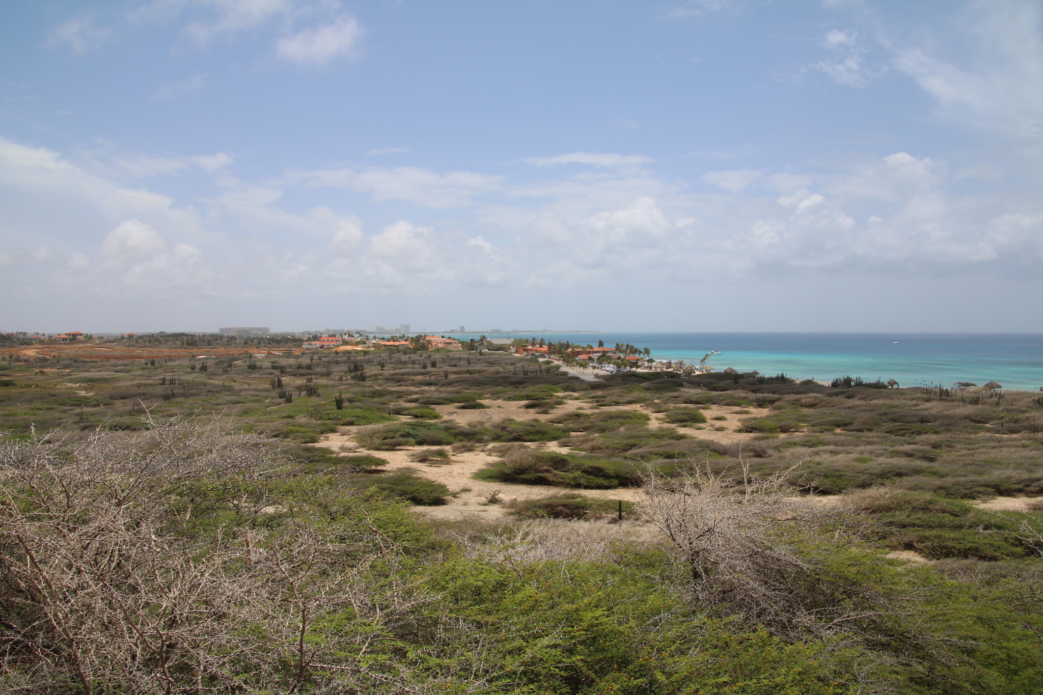 Canon EOS 750D (EOS Rebel T6i / EOS Kiss X8i) sample photo. Aruba photography