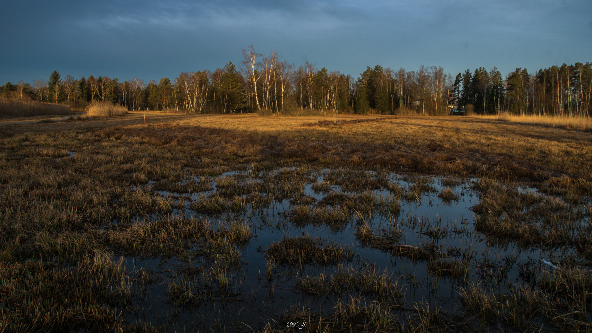 Sony ILCA-77M2 sample photo. Marshland photography