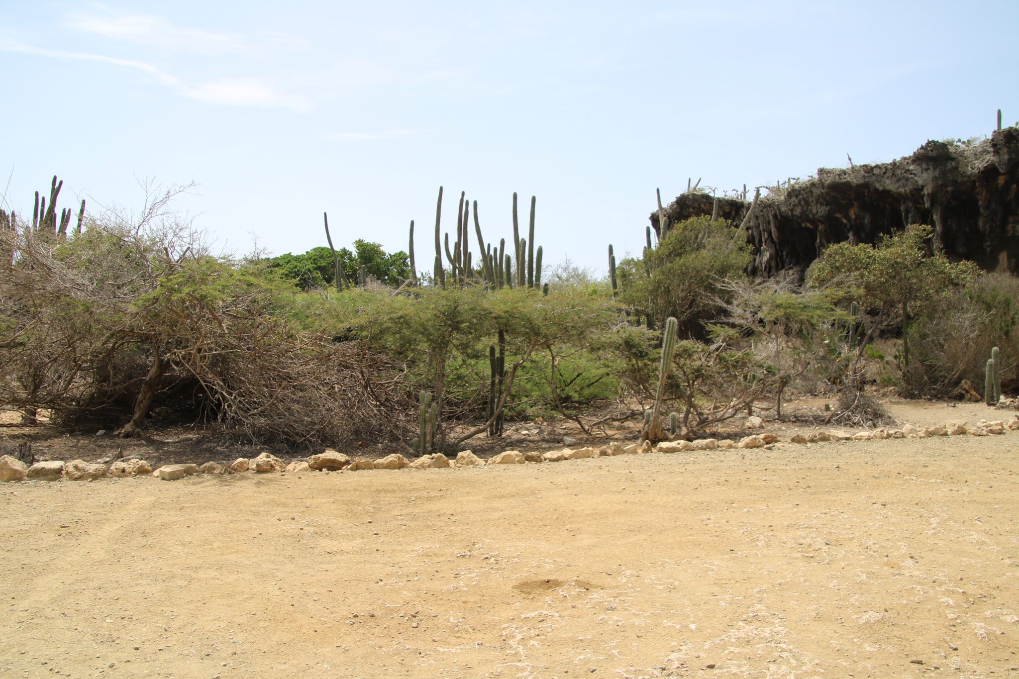 Canon EOS 750D (EOS Rebel T6i / EOS Kiss X8i) sample photo. Aruba photography