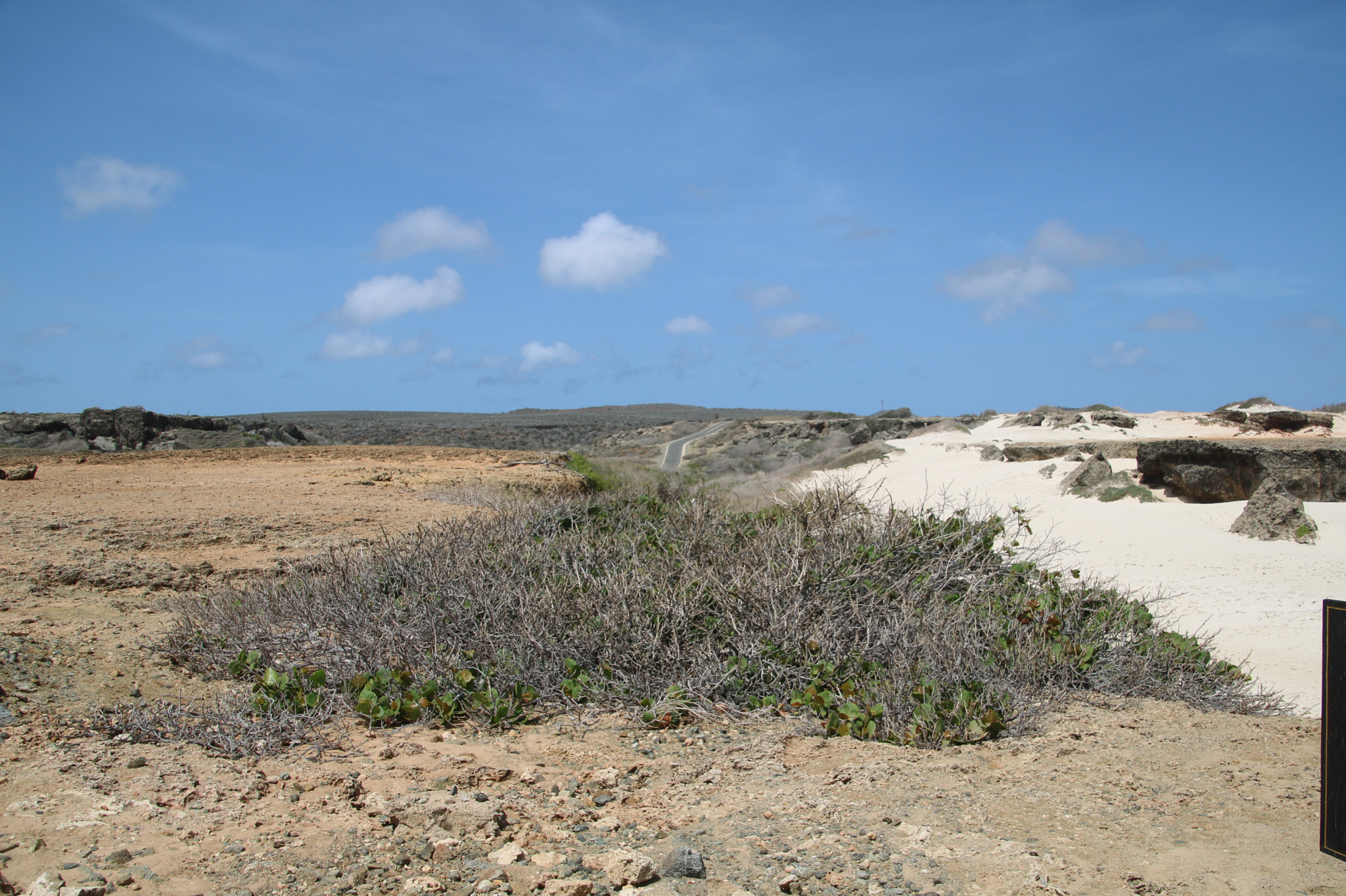 Canon EOS 750D (EOS Rebel T6i / EOS Kiss X8i) sample photo. Aruba photography