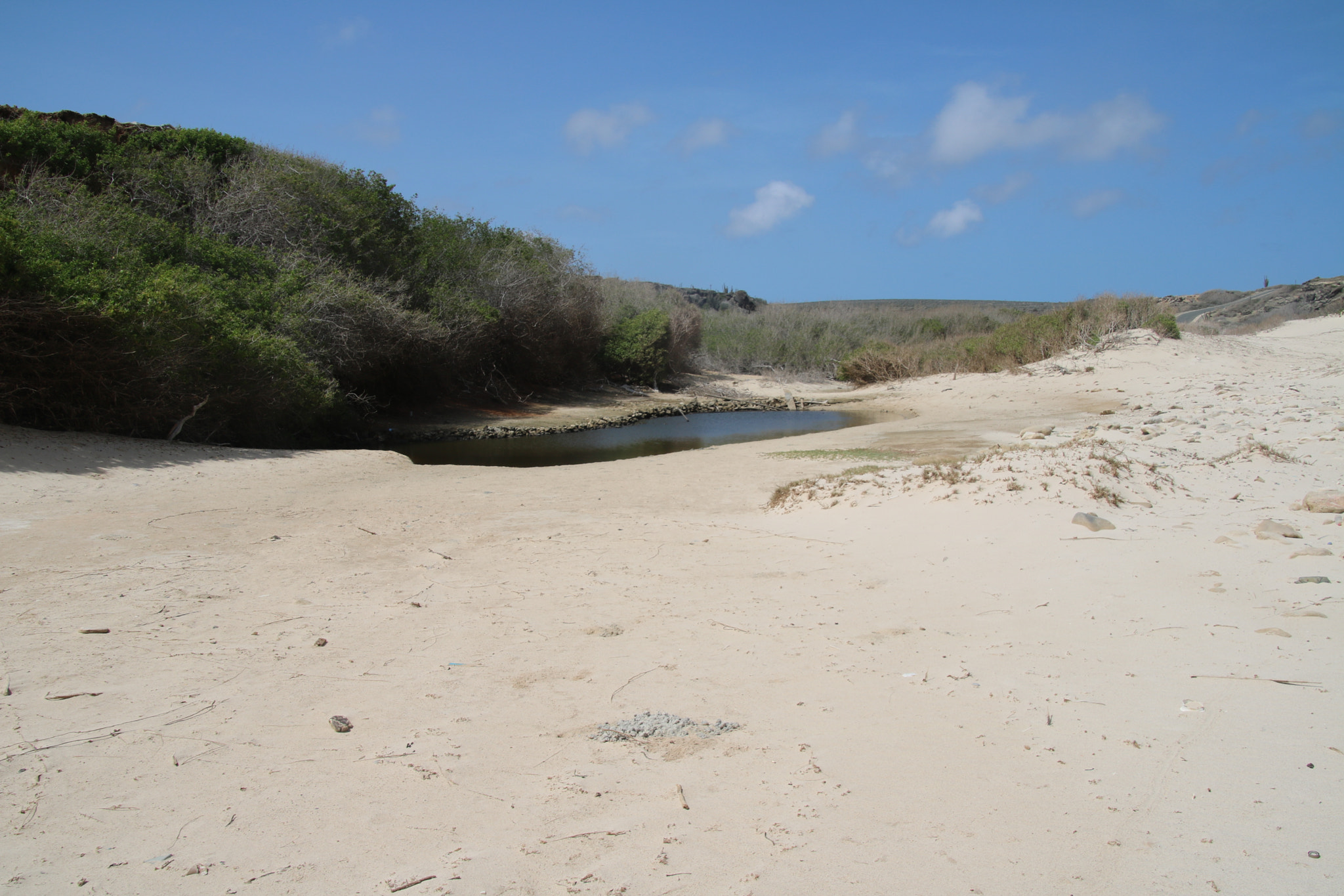 Canon EOS 750D (EOS Rebel T6i / EOS Kiss X8i) sample photo. Aruba photography