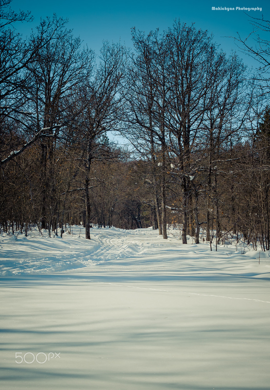 Canon EF 24-70mm F2.8L II USM sample photo. Road photography