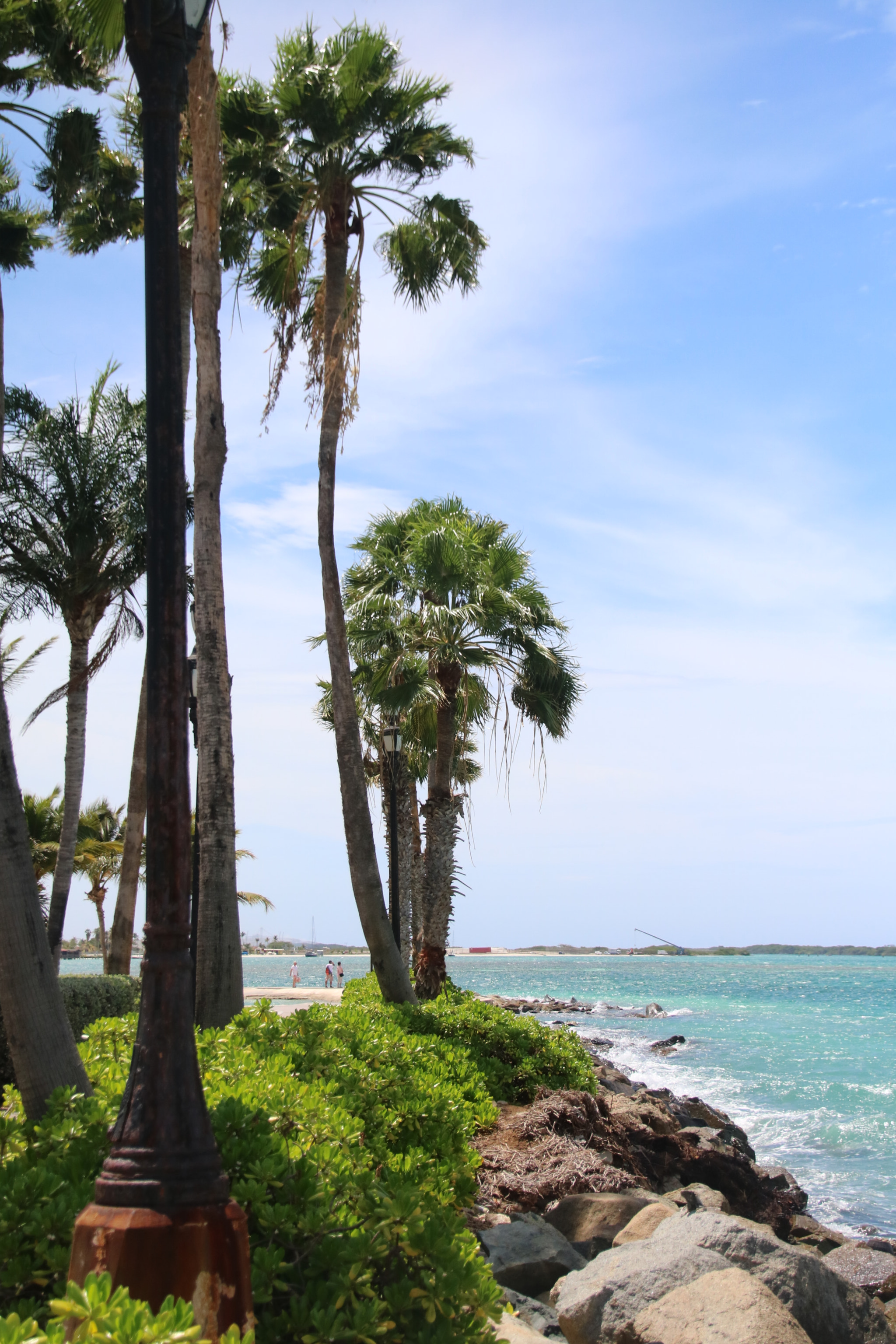 Canon EOS 750D (EOS Rebel T6i / EOS Kiss X8i) sample photo. Aruba photography