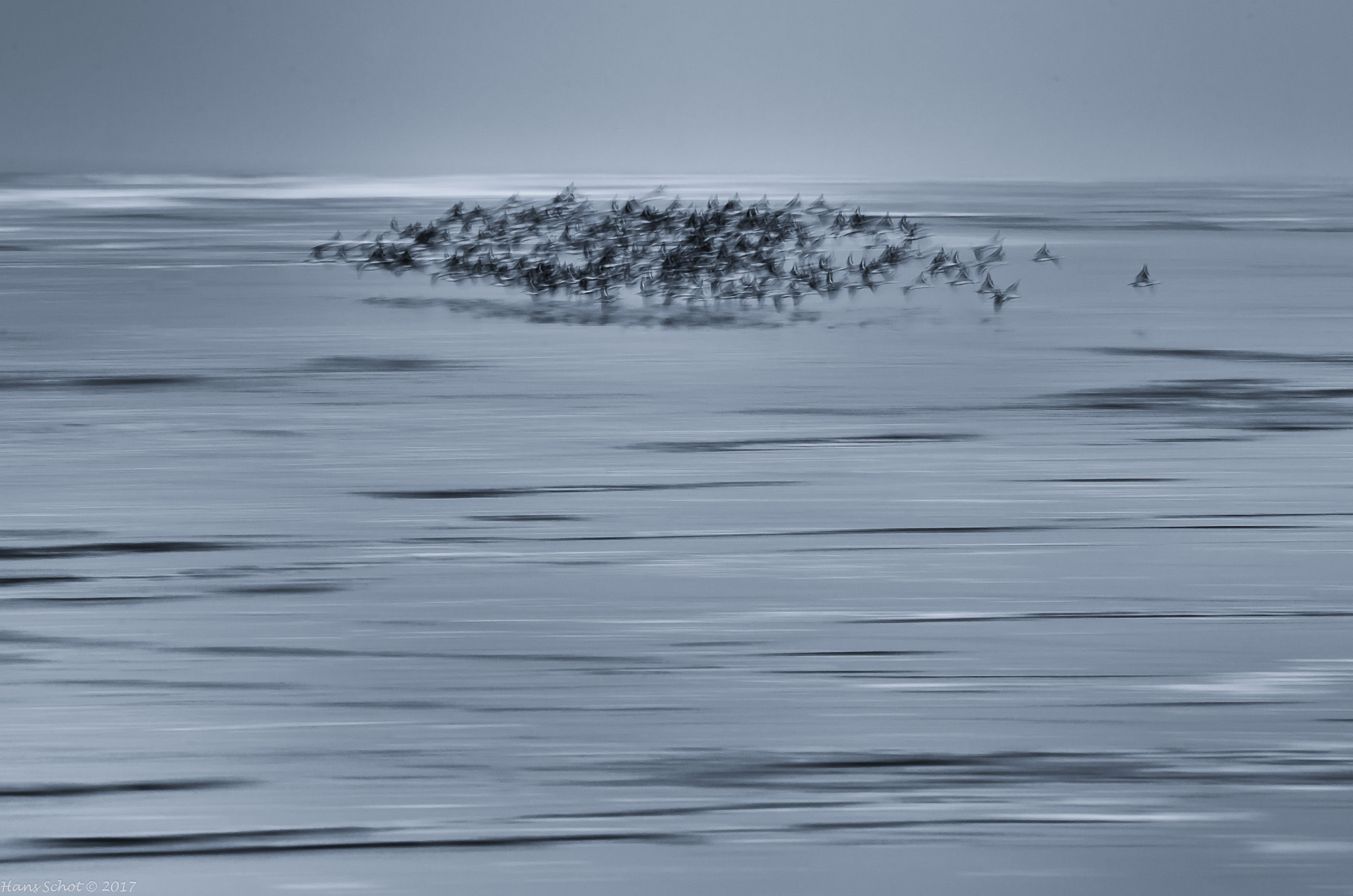 Nikon D7000 + Nikon AF-S Nikkor 300mm F4D ED-IF sample photo. Sound of waves and birds photography