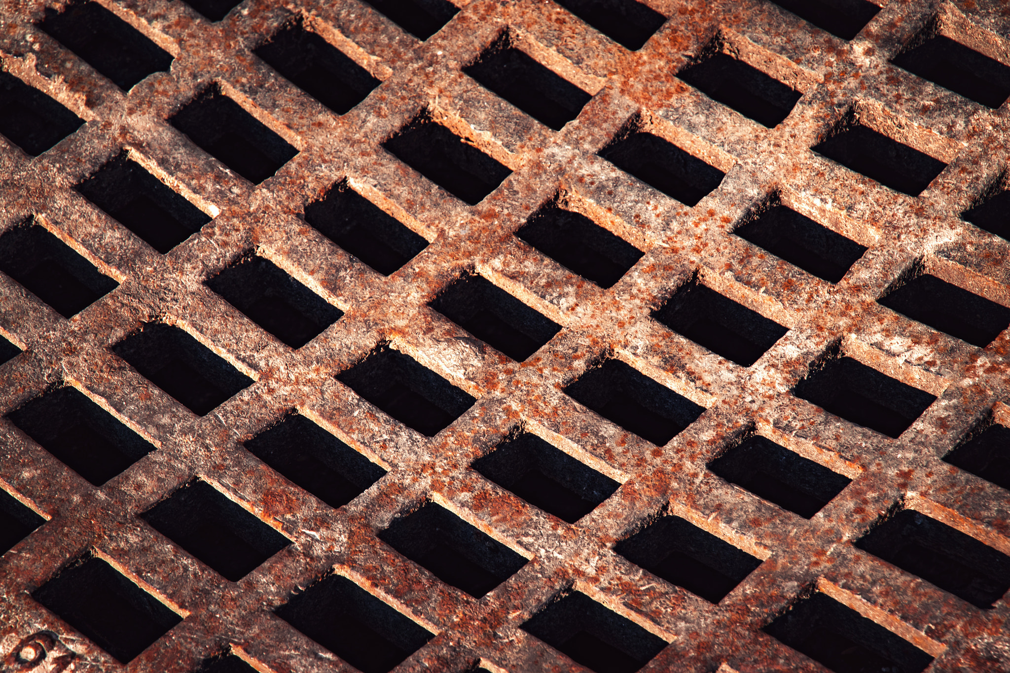 Nikon D5500 sample photo. Iron grid to sewerage photography