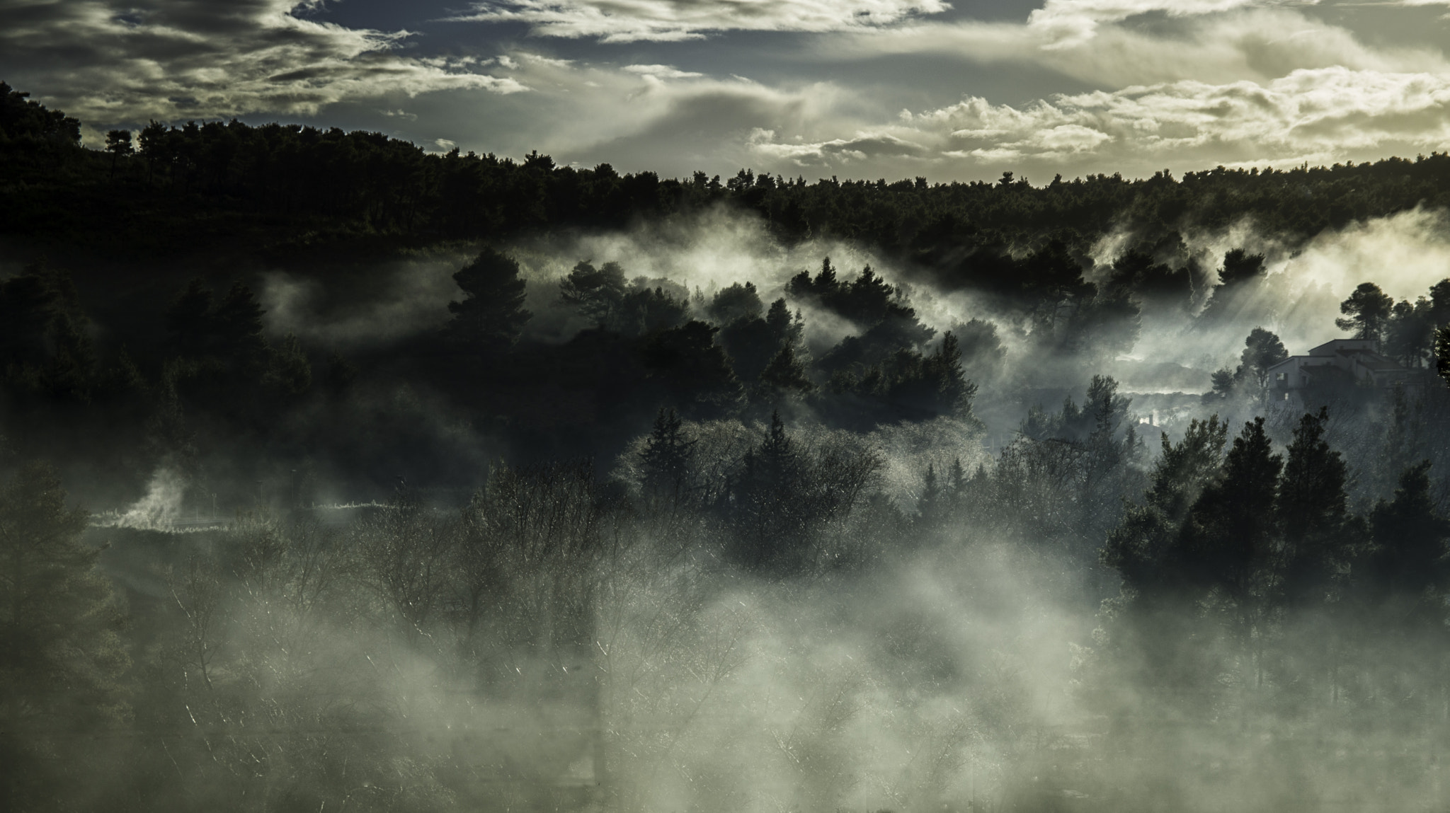 Sigma 17-50mm F2.8 EX DC OS HSM sample photo. Foggy morning photography