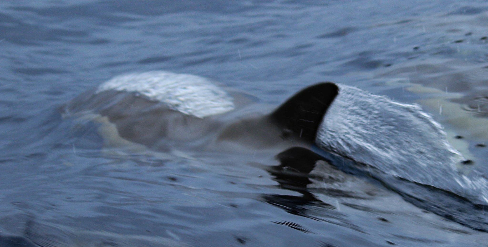 Canon EF-S 55-250mm F4-5.6 IS II sample photo. Bubble stream photography