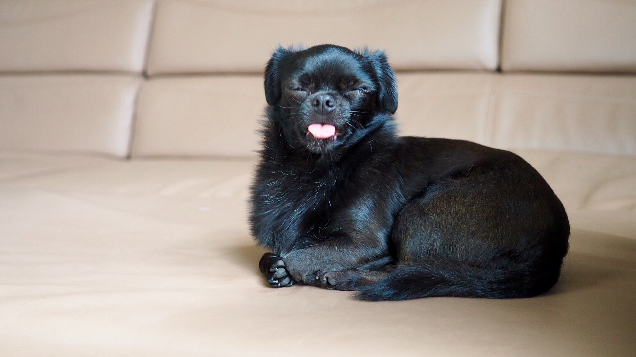 Sigma 30mm F2.8 DN Art sample photo