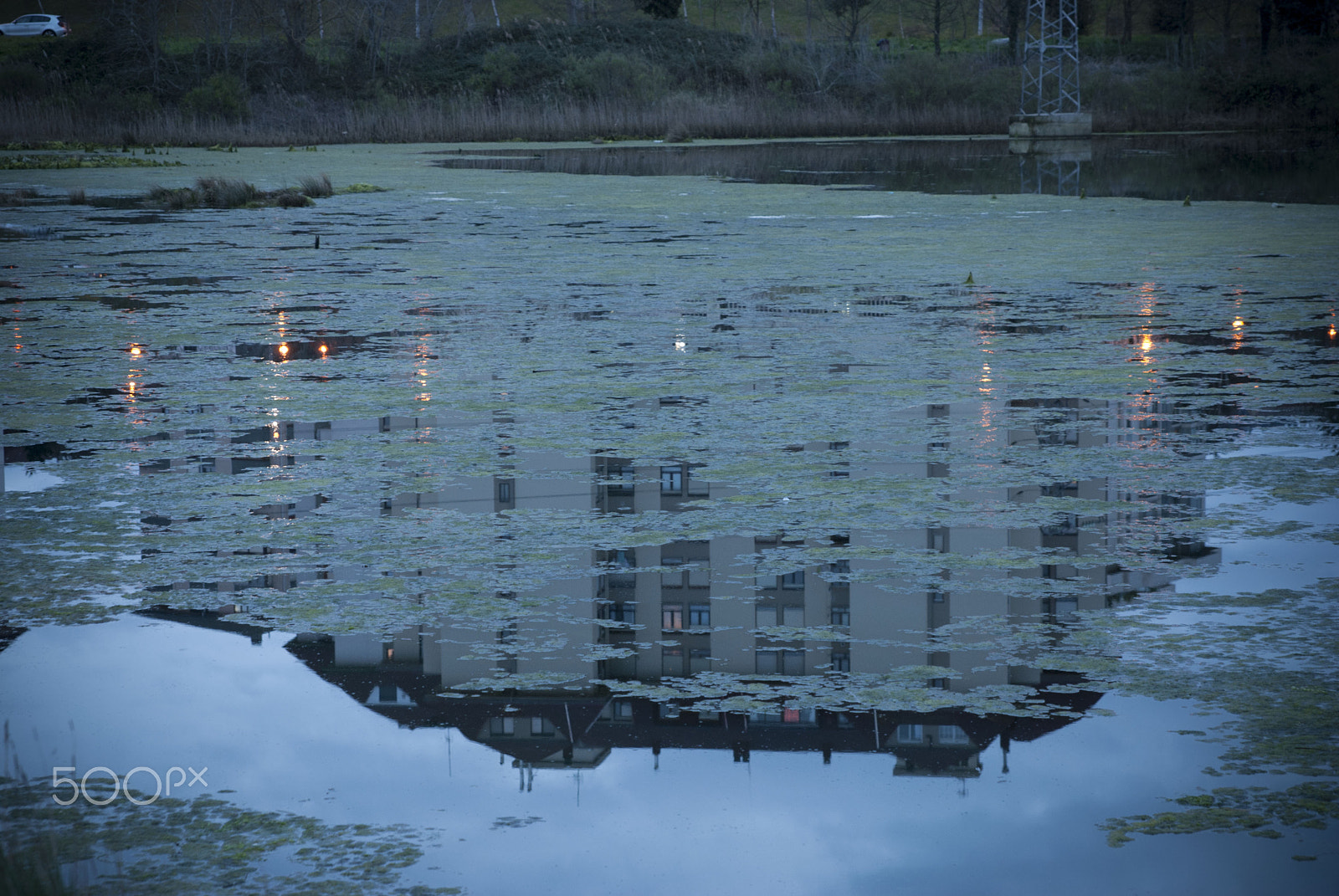 Sigma 24-70mm F2.8 EX DG HSM sample photo. Upside down photography