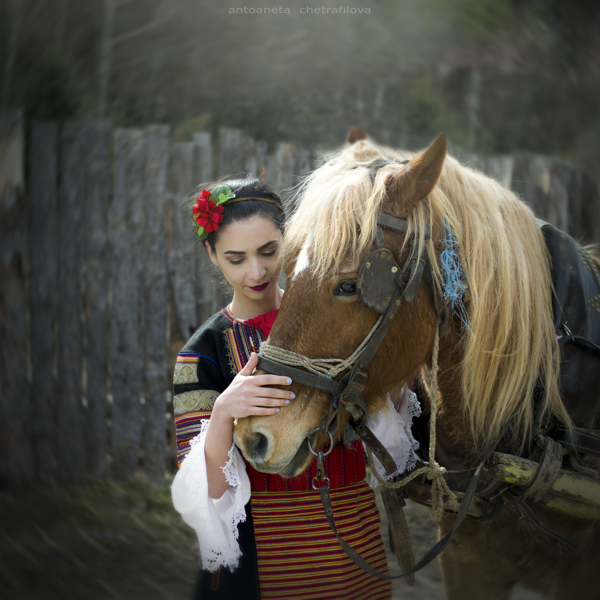 Pentax K-3 II + Pentax smc DA 35mm F2.4 AL sample photo. Bulgaria photography