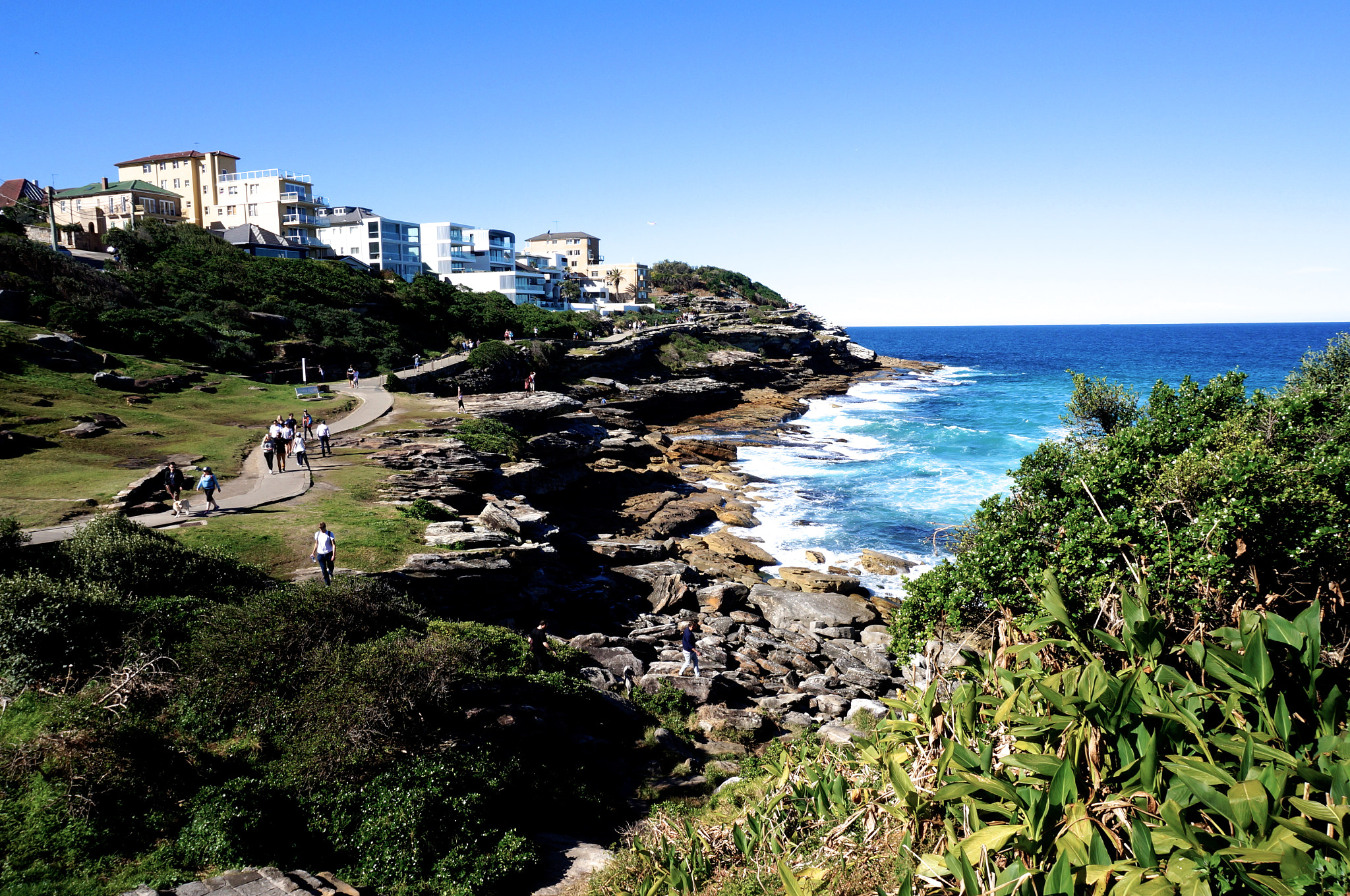 Sony Alpha NEX-3N + Sony E 18-50mm F4-5.6 sample photo. Bondi beach path photography