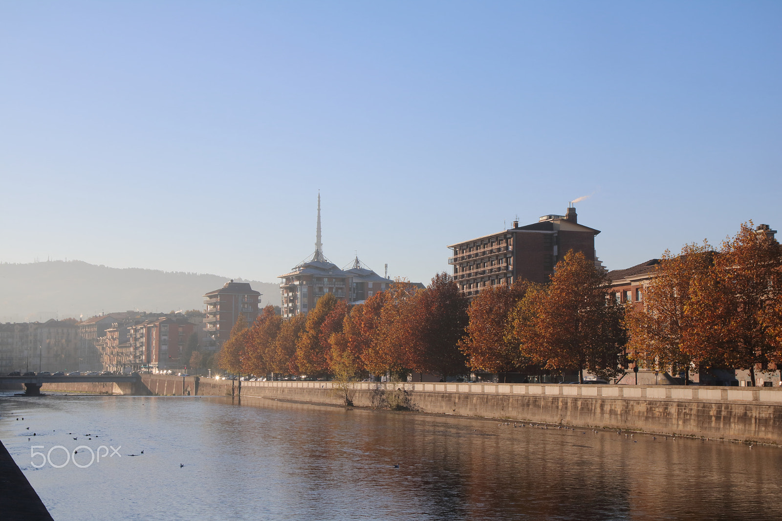 Sigma 17-70mm F2.8-4 DC Macro OS HSM sample photo. Turin photography