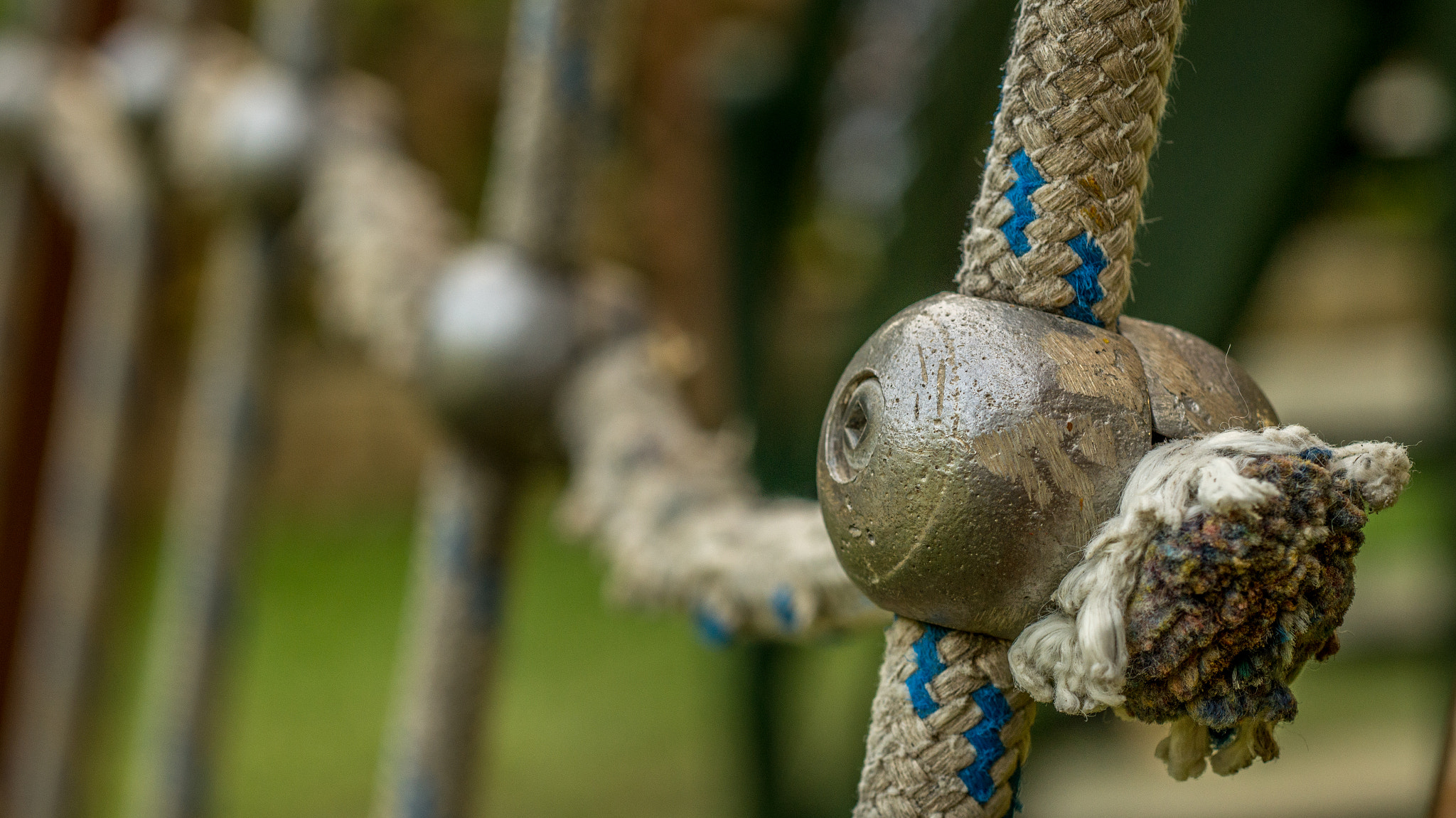 Sony SLT-A58 + MACRO 50mm F2.8 sample photo. Knot photography