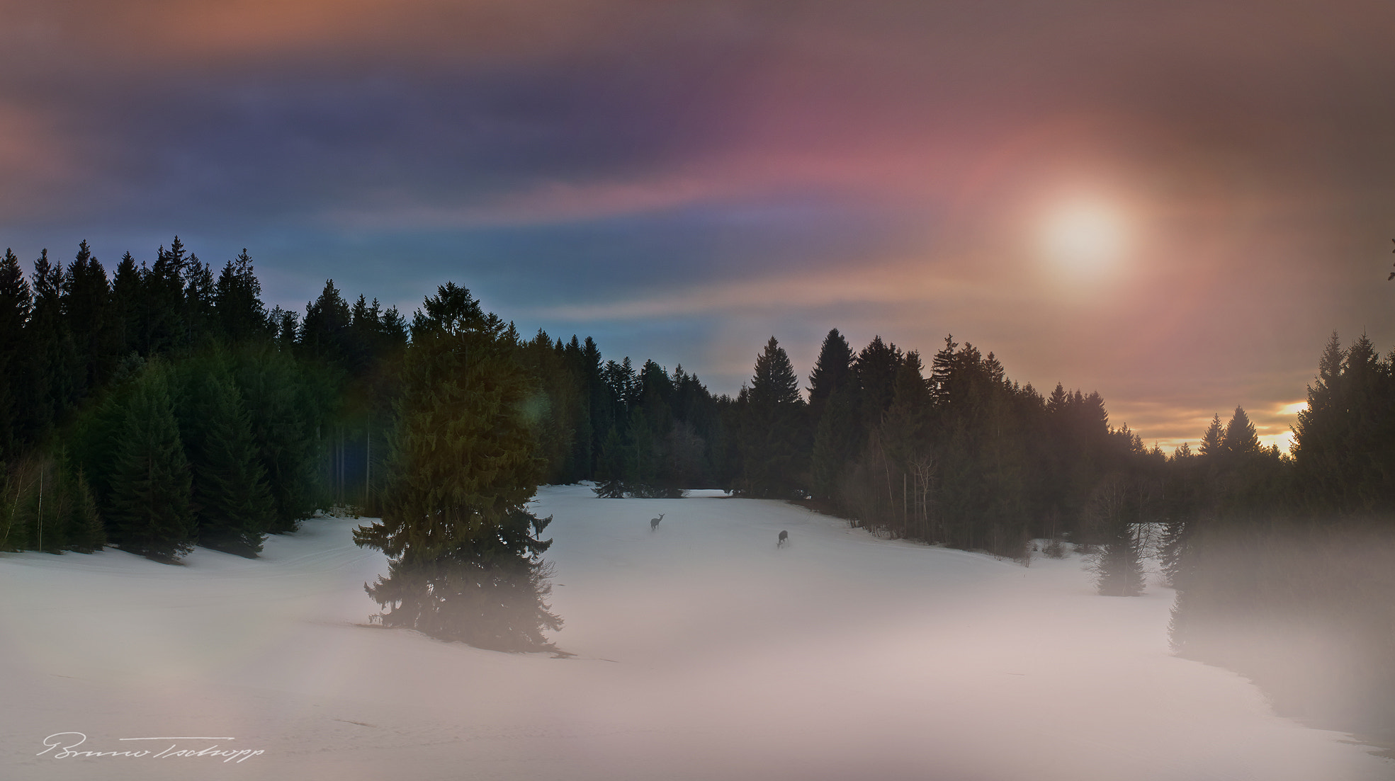 Pentax smc DA* 50-135mm F2.8 ED (IF) SDM sample photo. Waldlichtung photography