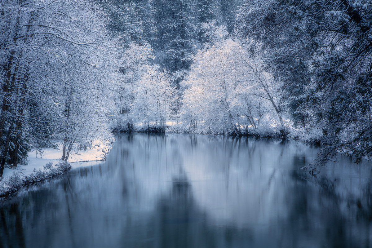 Canon EOS 5DS R sample photo. Blue winter photography
