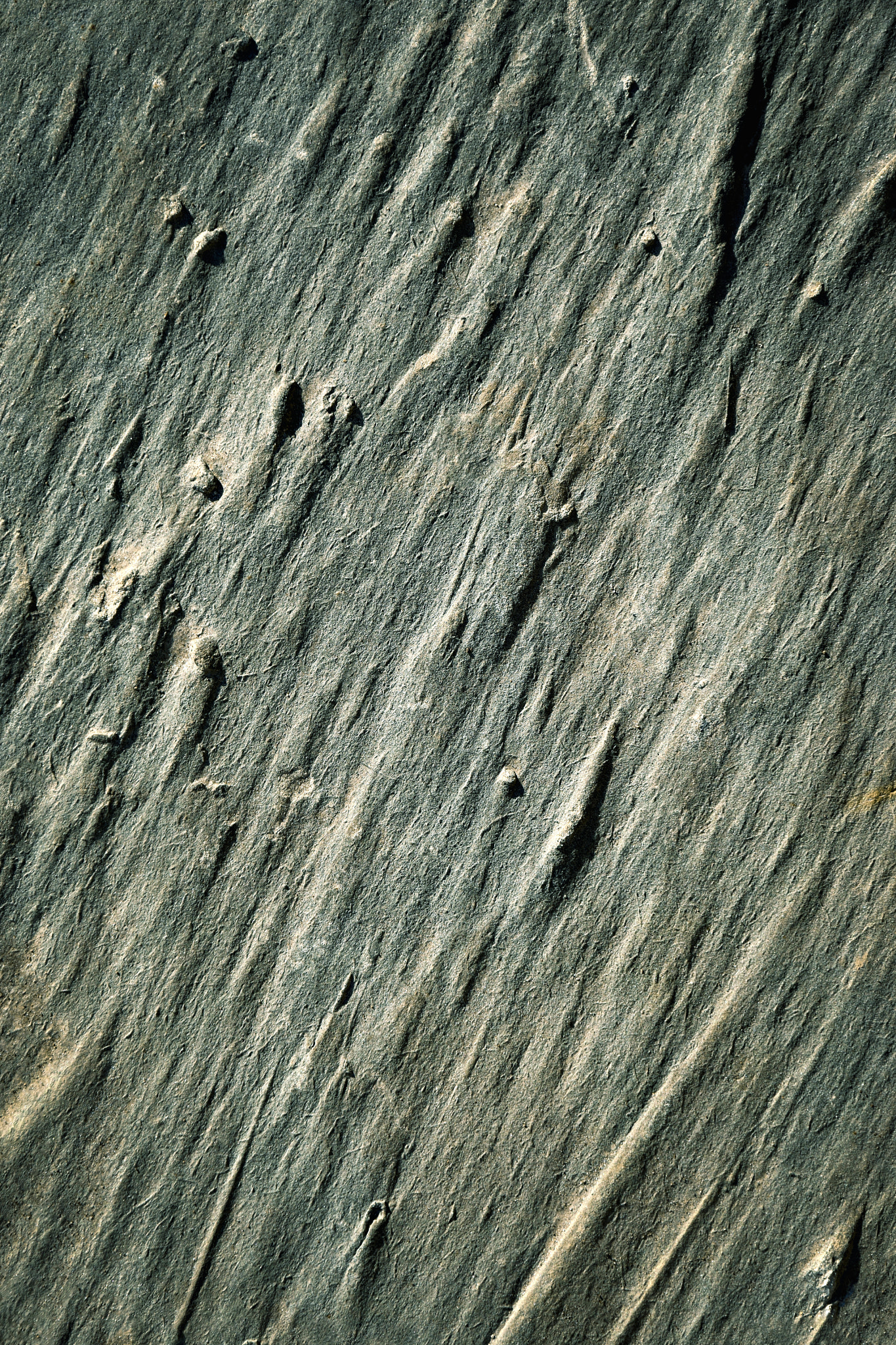 Nikon D5500 sample photo. Abstract sandstone texture photography