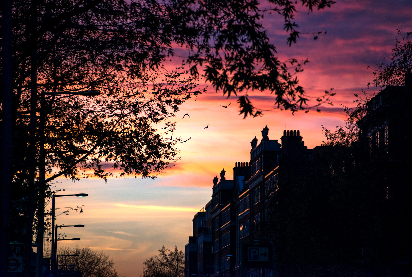 Nikon D800 sample photo. London twilight photography
