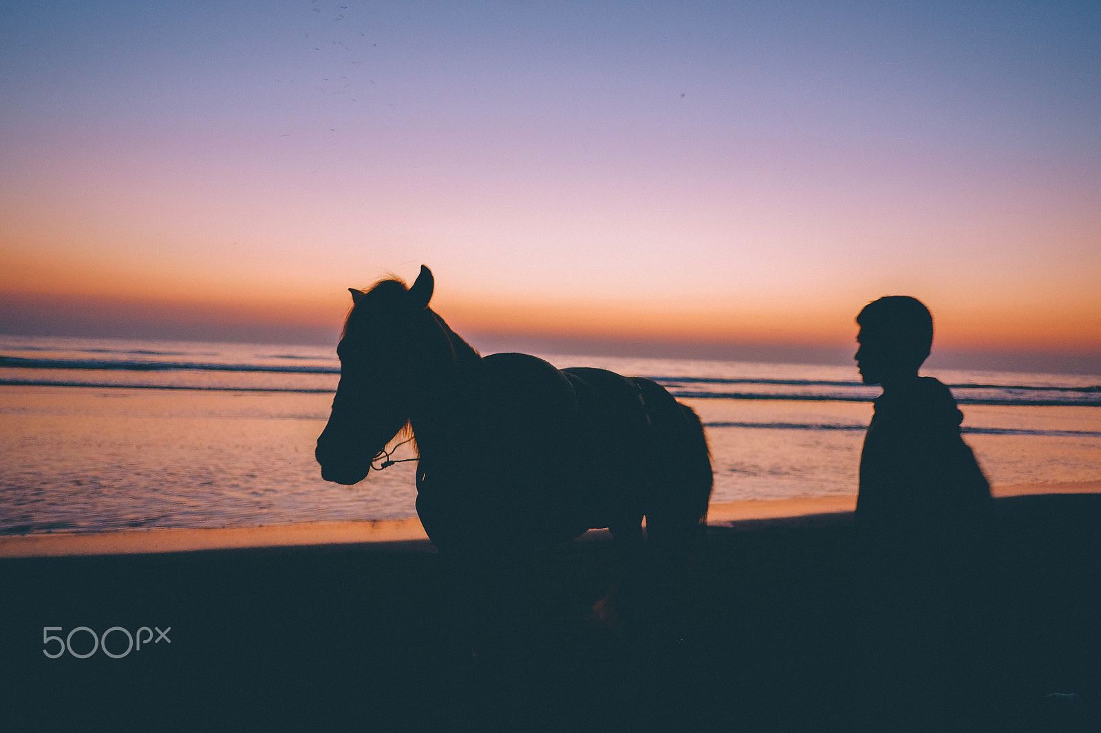 Fujifilm X-T10 + Fujifilm XF 18mm F2 R sample photo. World's longest beach 19 photography