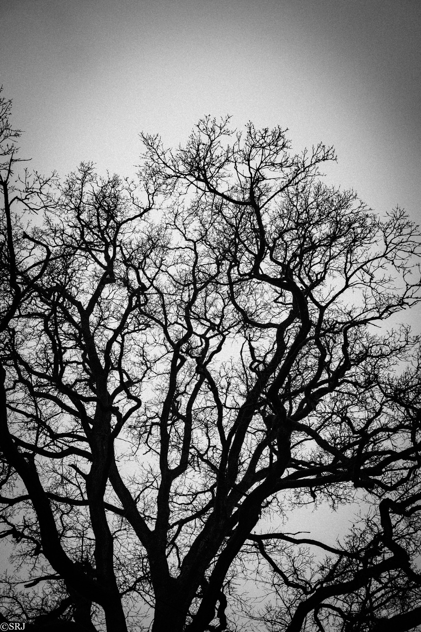 Sigma 30mm F2.8 EX DN sample photo. Vintage feeling i photography