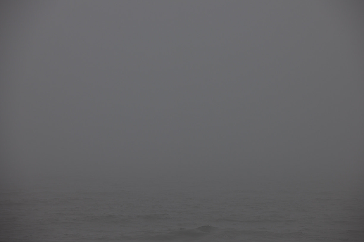 Nikon D3X sample photo. North sea in the mist photography