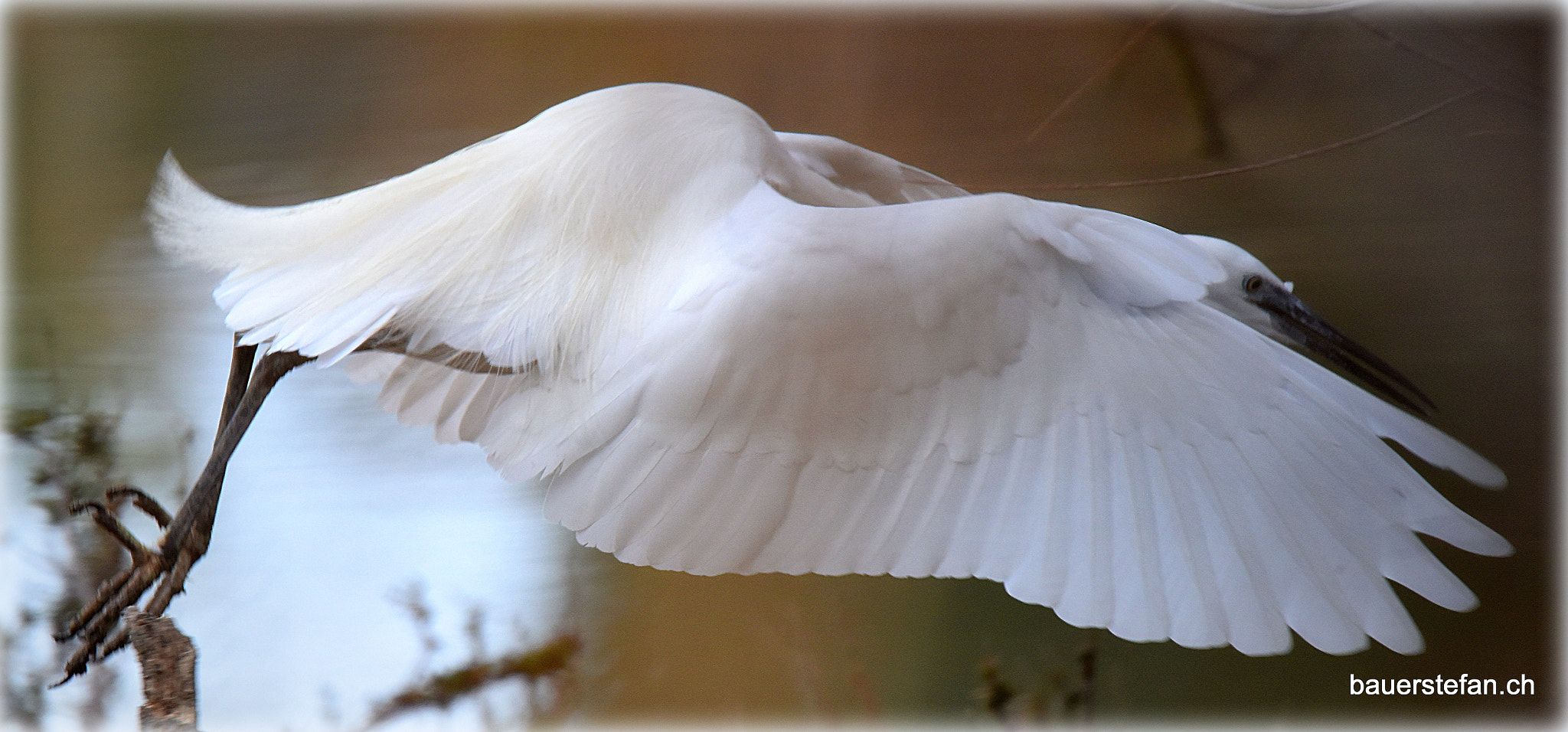 Nikon D810 sample photo. "on y va" photography