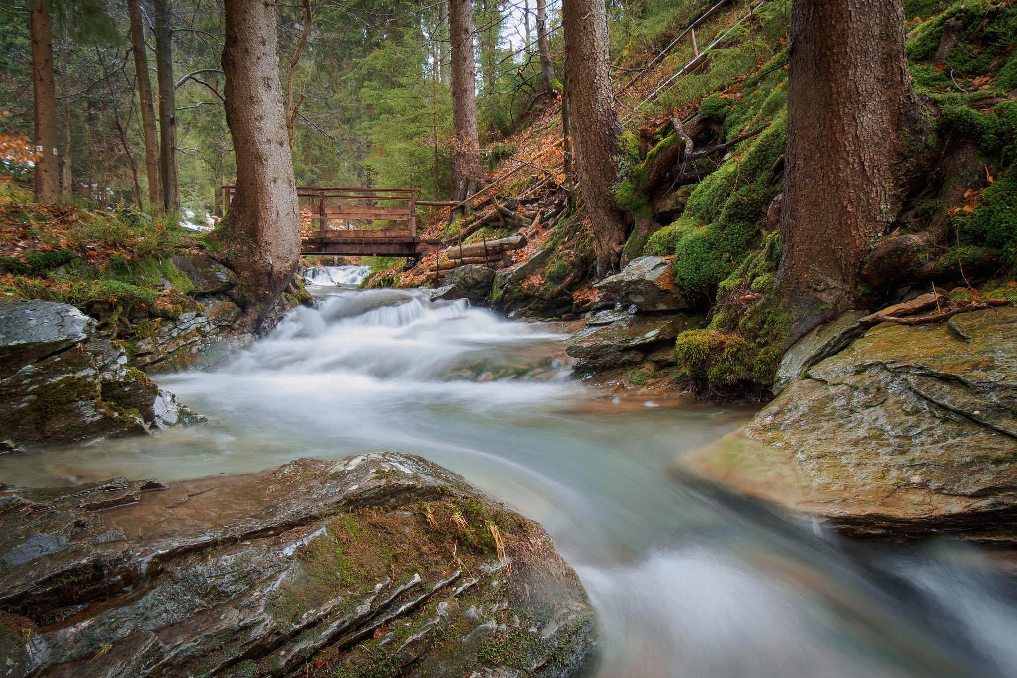 Olympus OM-D E-M10 sample photo. Thuringian forest photography
