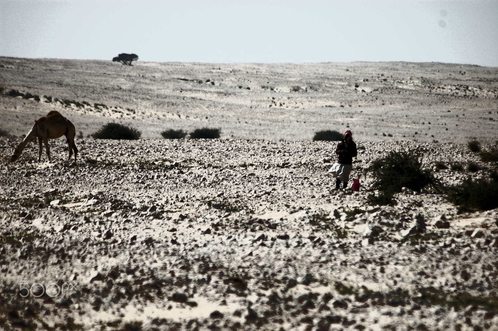 Nikon AF Nikkor 70-300mm F4-5.6G sample photo. Barren desert.. photography