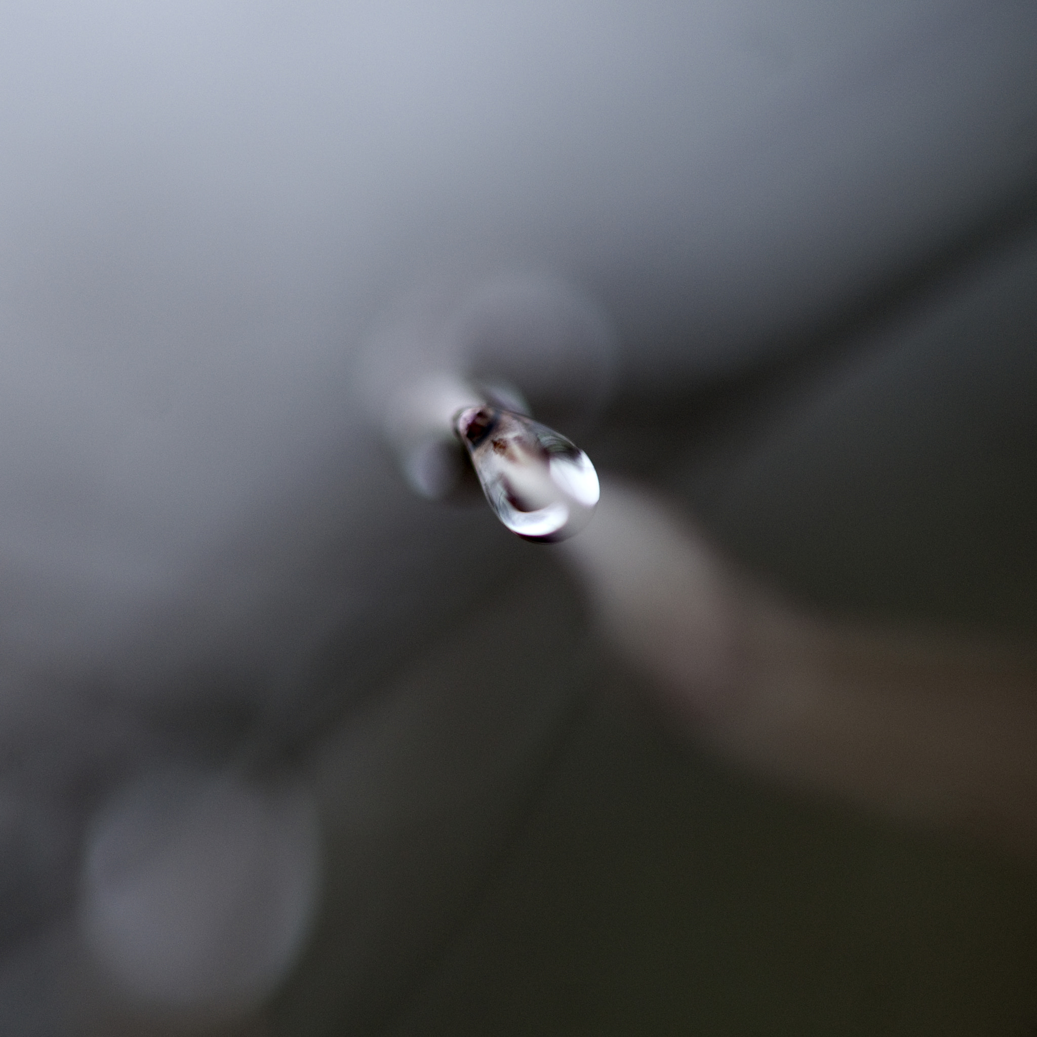 Nikon AF-S Micro-Nikkor 105mm F2.8G IF-ED VR sample photo. Led photography