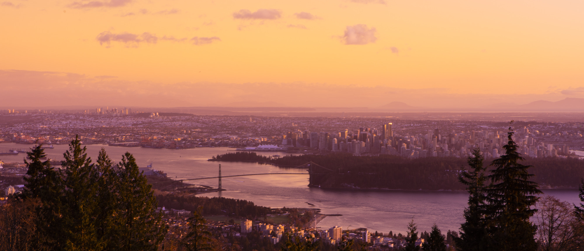Canon EF 24-70mm F2.8L USM sample photo. Cypress vancouver sunset photography
