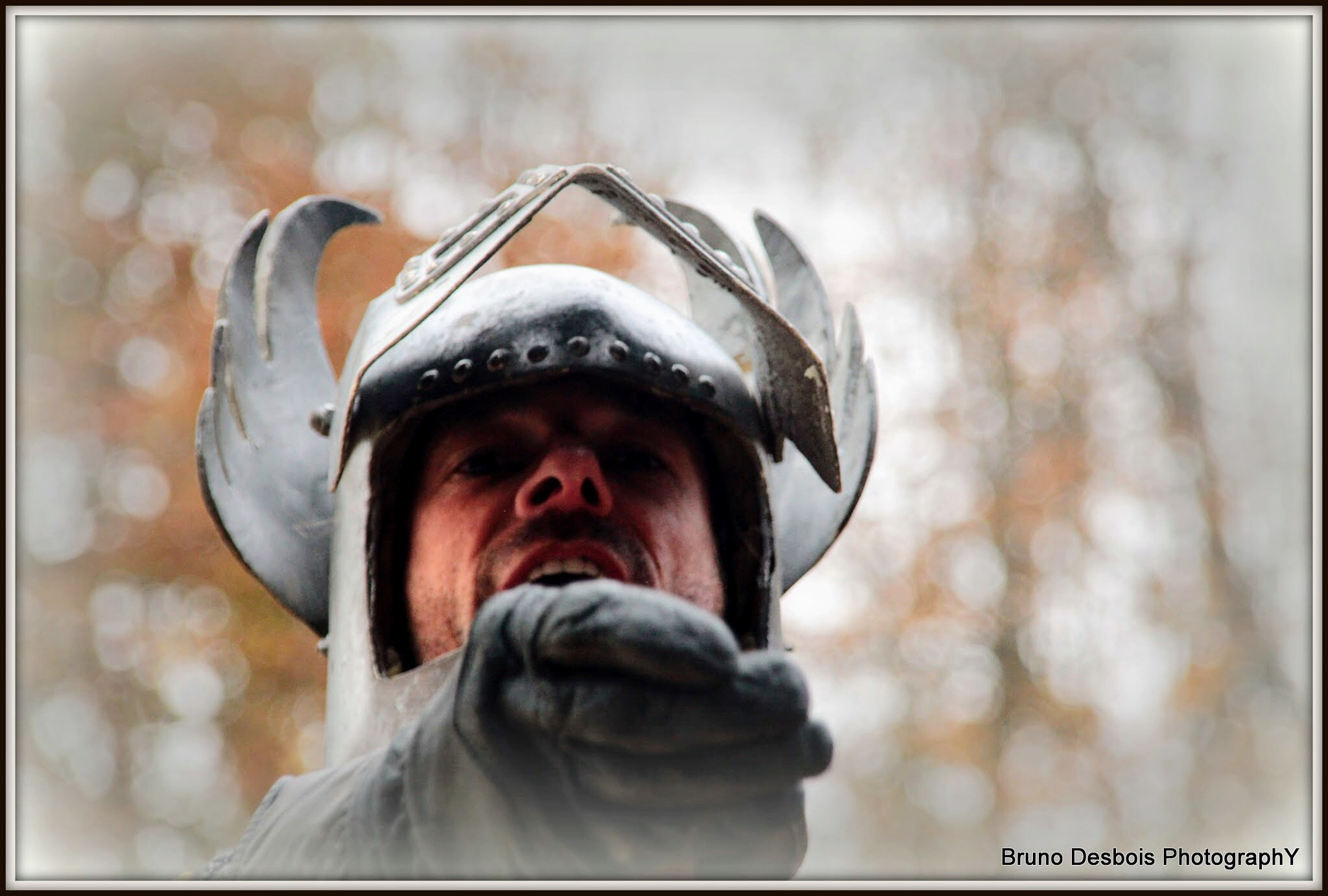 Sigma 18-200mm f/3.5-6.3 DC OS sample photo. Knight "eh you ‼" photography