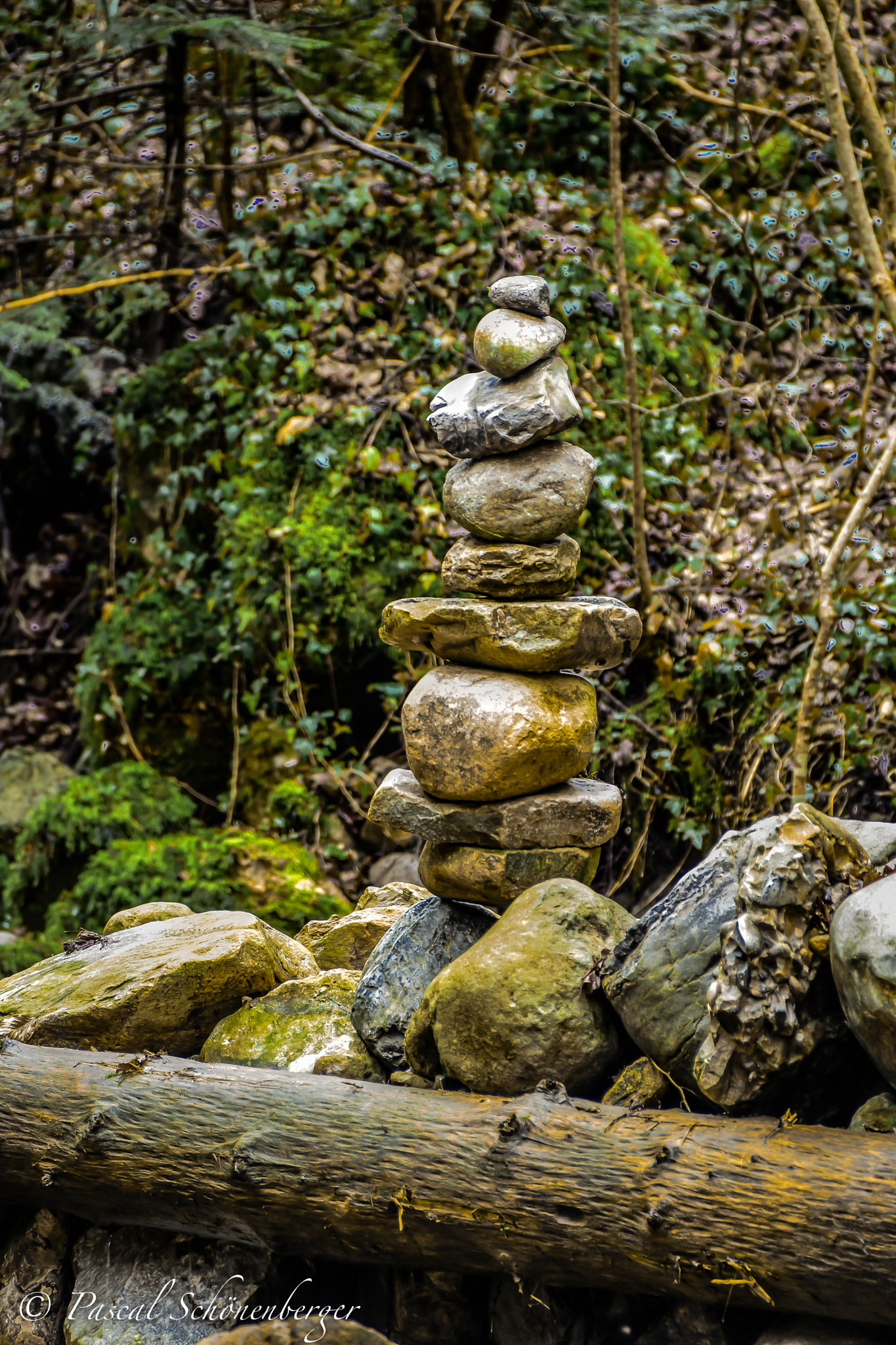 Nikon D7200 sample photo. Stem sculpture photography