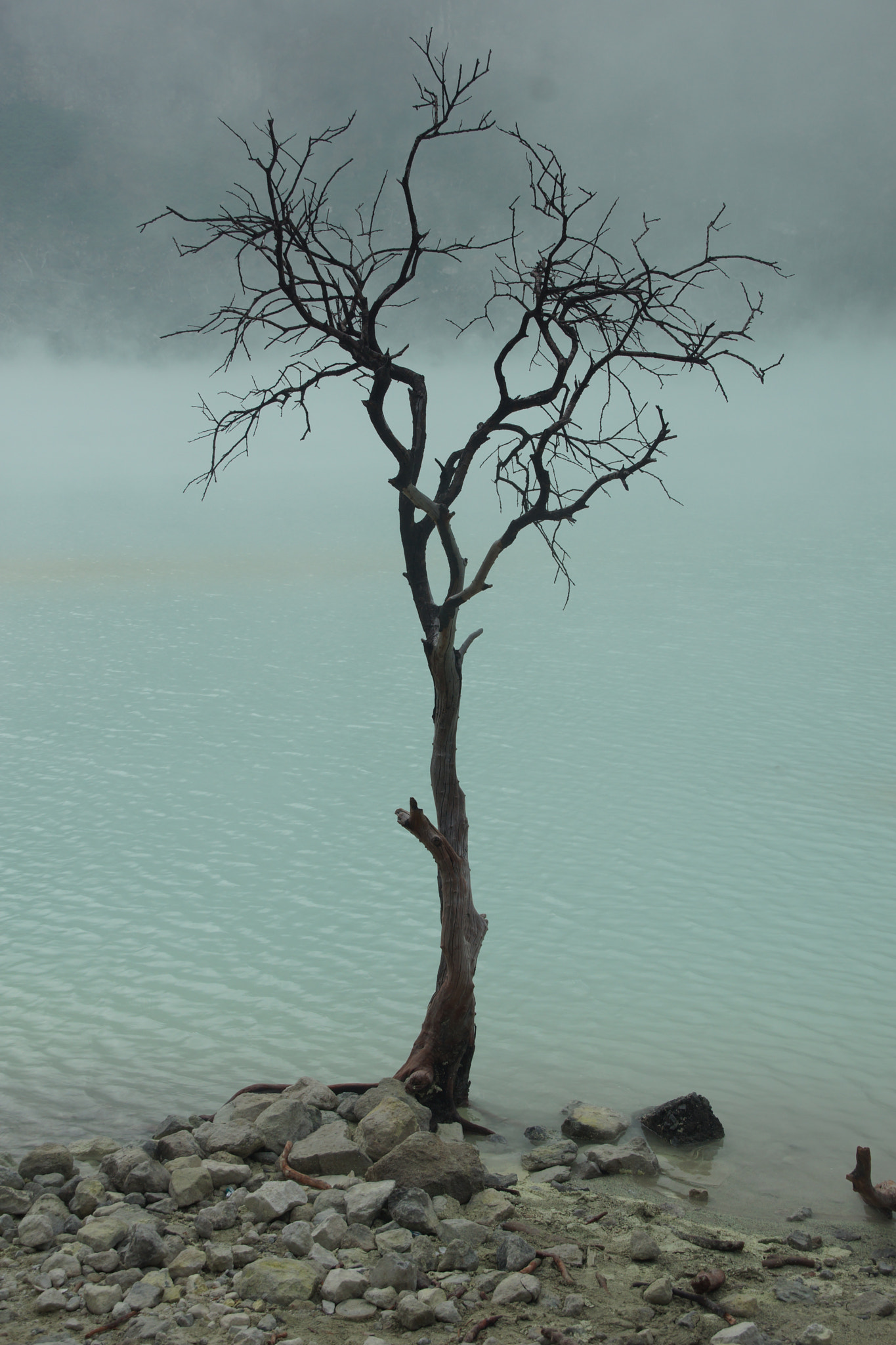 Sigma DC 18-125mm F4-5,6 D sample photo. Bandung lake photography