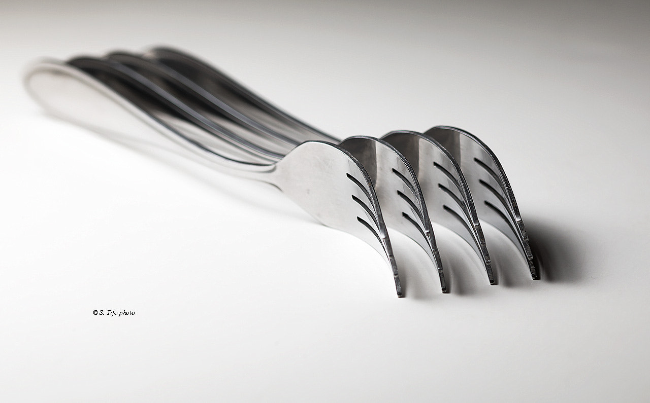 Sigma 105mm F2.8 EX DG OS HSM sample photo. Forks ... photography
