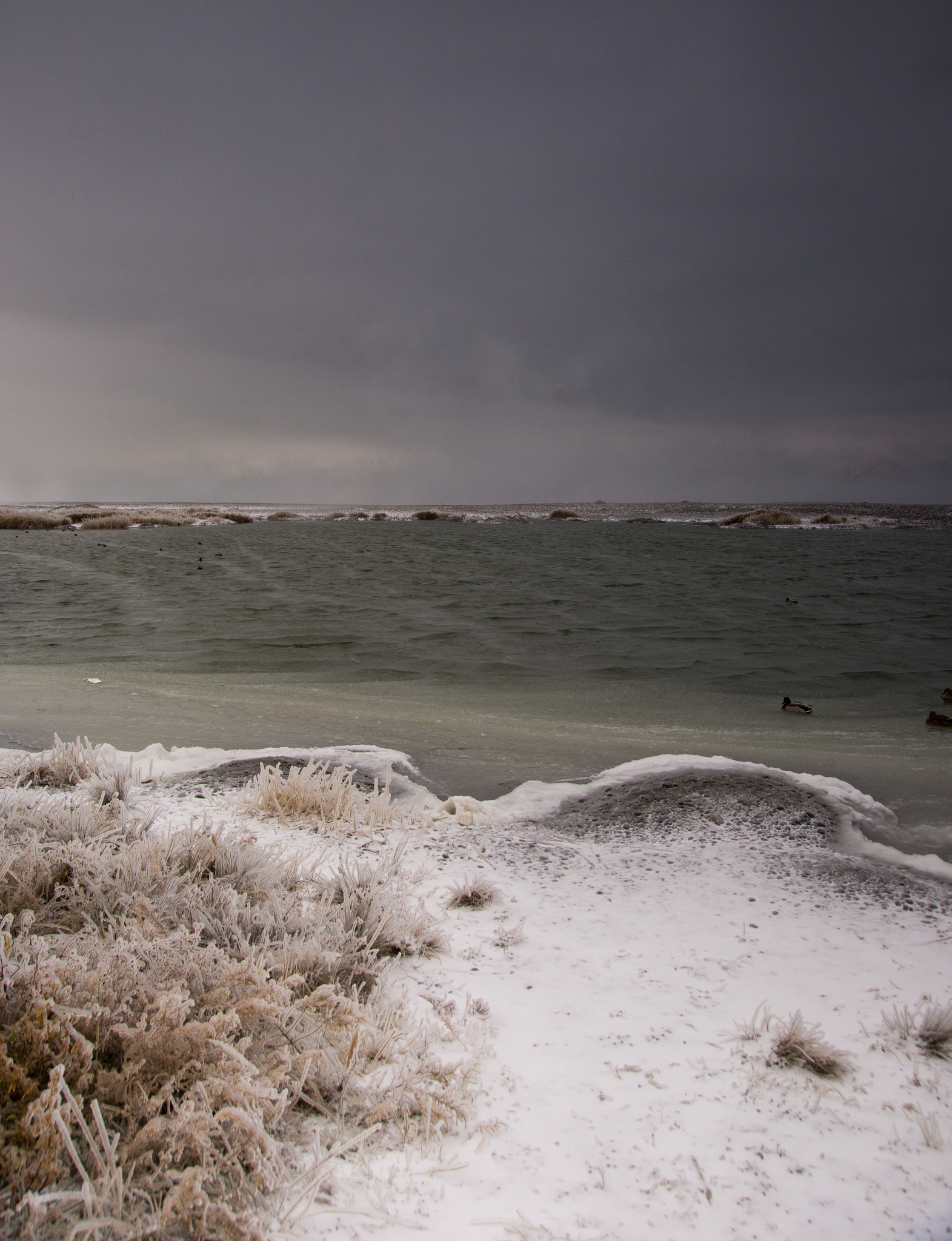 Sony SLT-A65 (SLT-A65V) + Tamron SP 24-70mm F2.8 Di VC USD sample photo. Winter sea photography