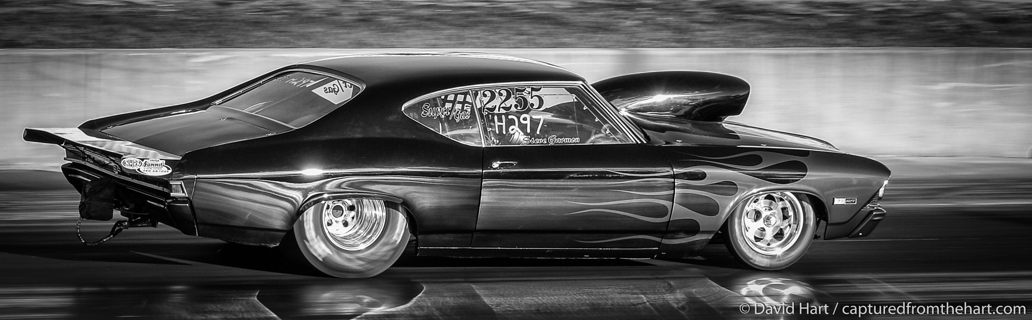 Nikon D7200 sample photo. Black and white horse power photography