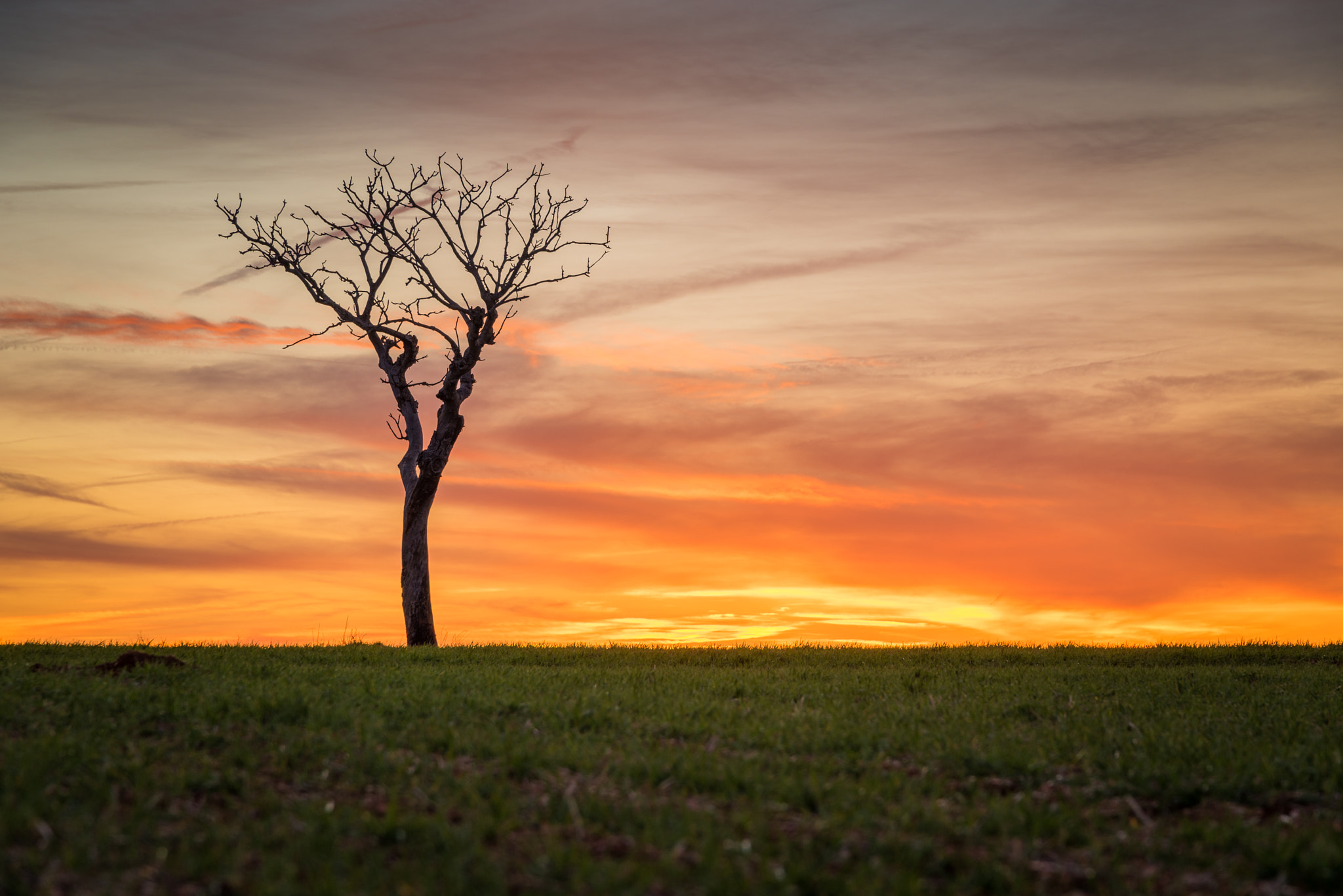 Nikon D750 + Sigma 24-105mm F4 DG OS HSM Art sample photo. Contemplando el ocaso photography