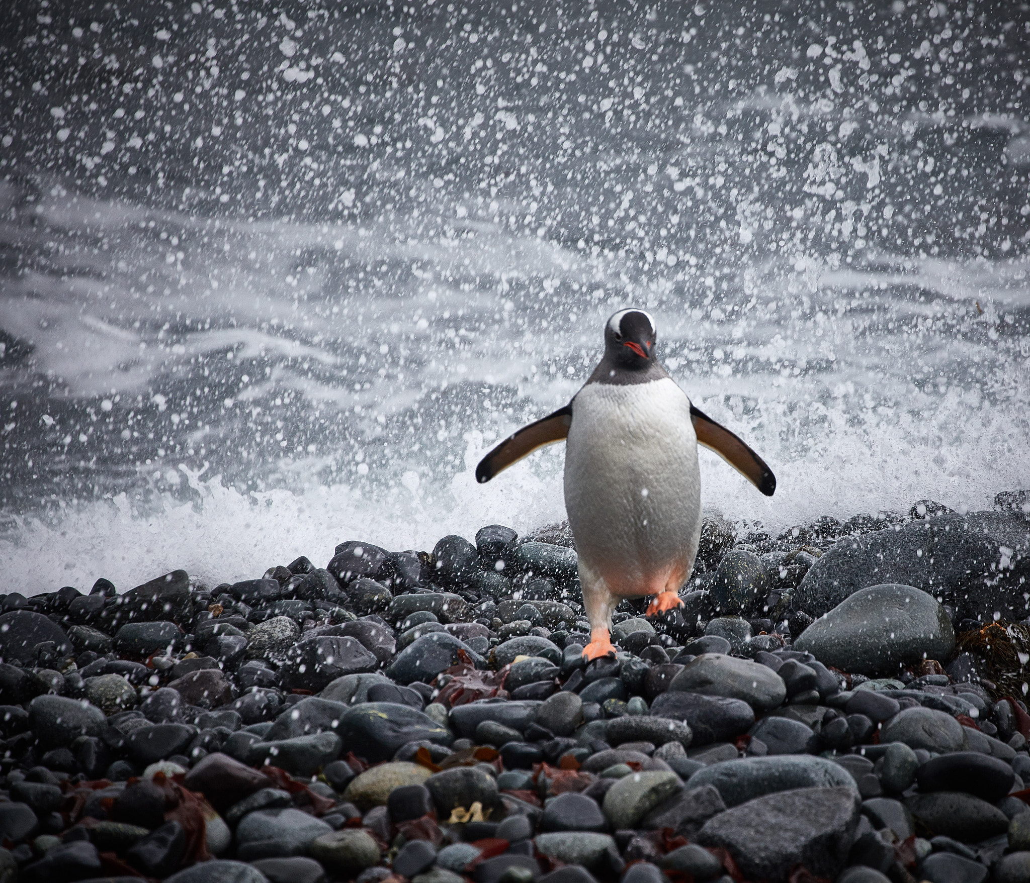 Canon EF 70-300mm F4-5.6L IS USM sample photo. Splash photography