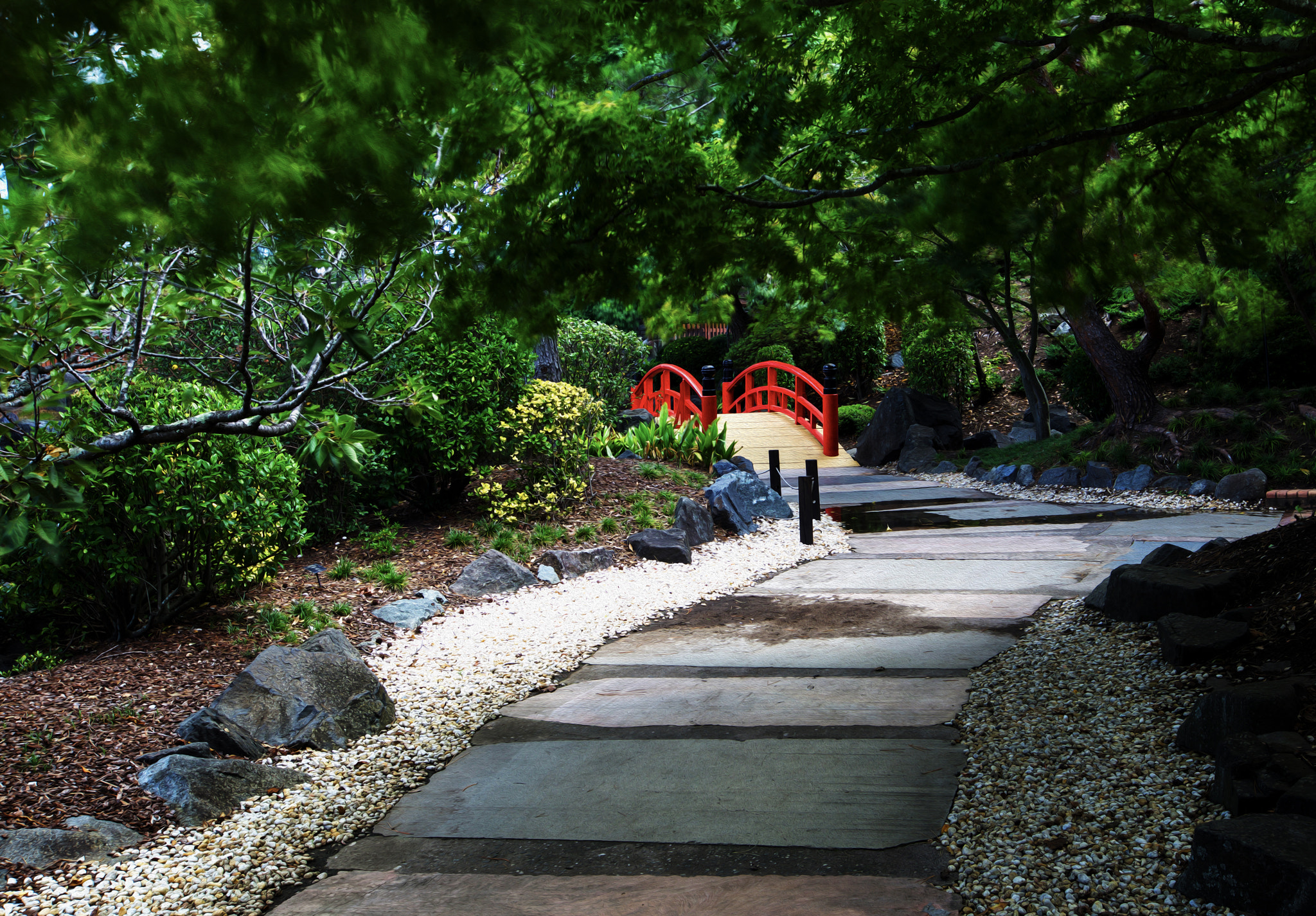 Canon EF 16-35mm F2.8L II USM sample photo. My path photography