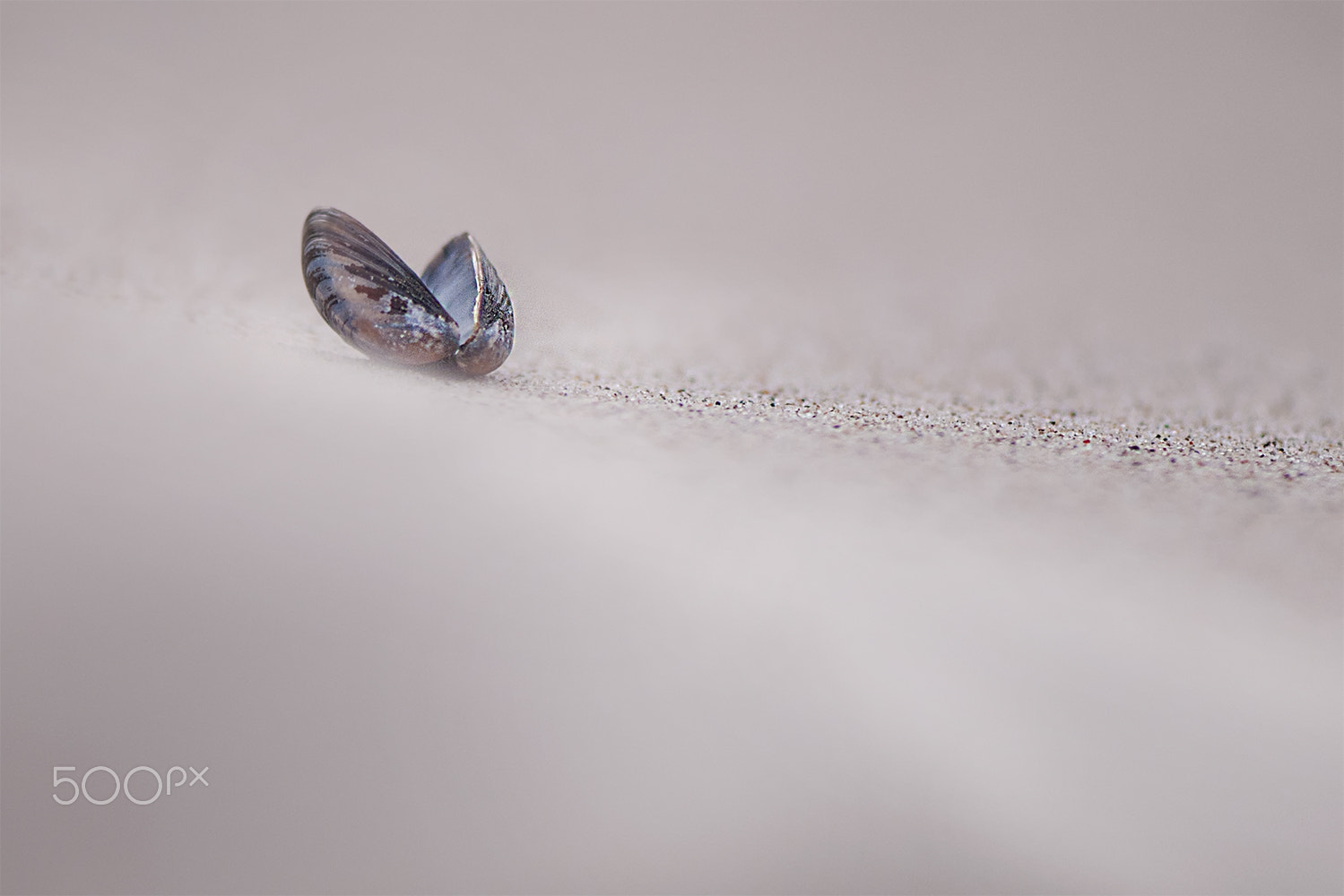 Nikon AF-S Micro-Nikkor 105mm F2.8G IF-ED VR sample photo. In the silence of the dunes photography