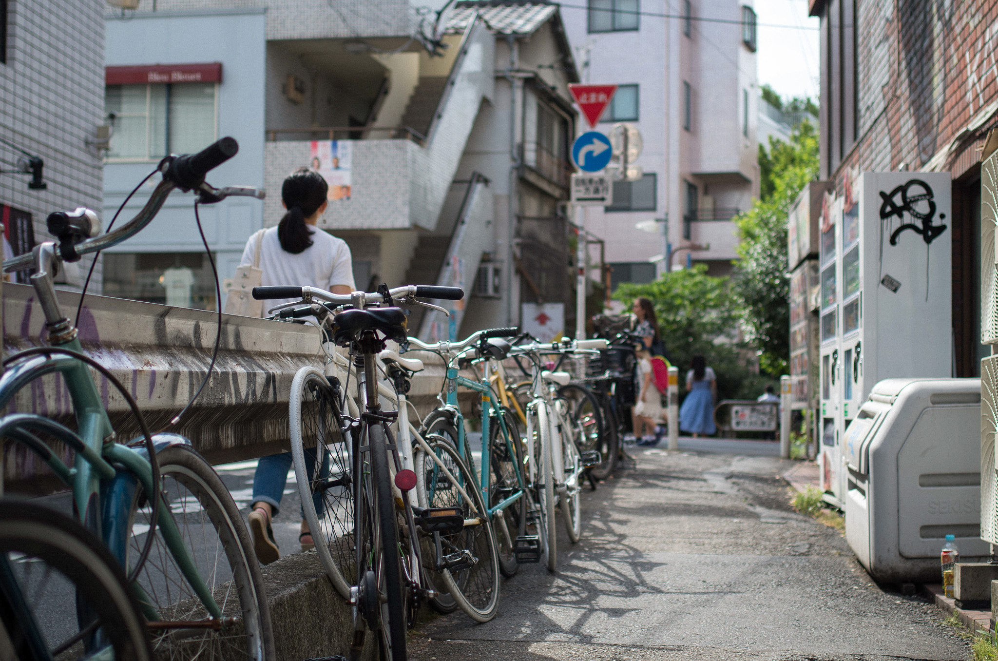 Pentax smc DA 35mm F2.4 AL sample photo