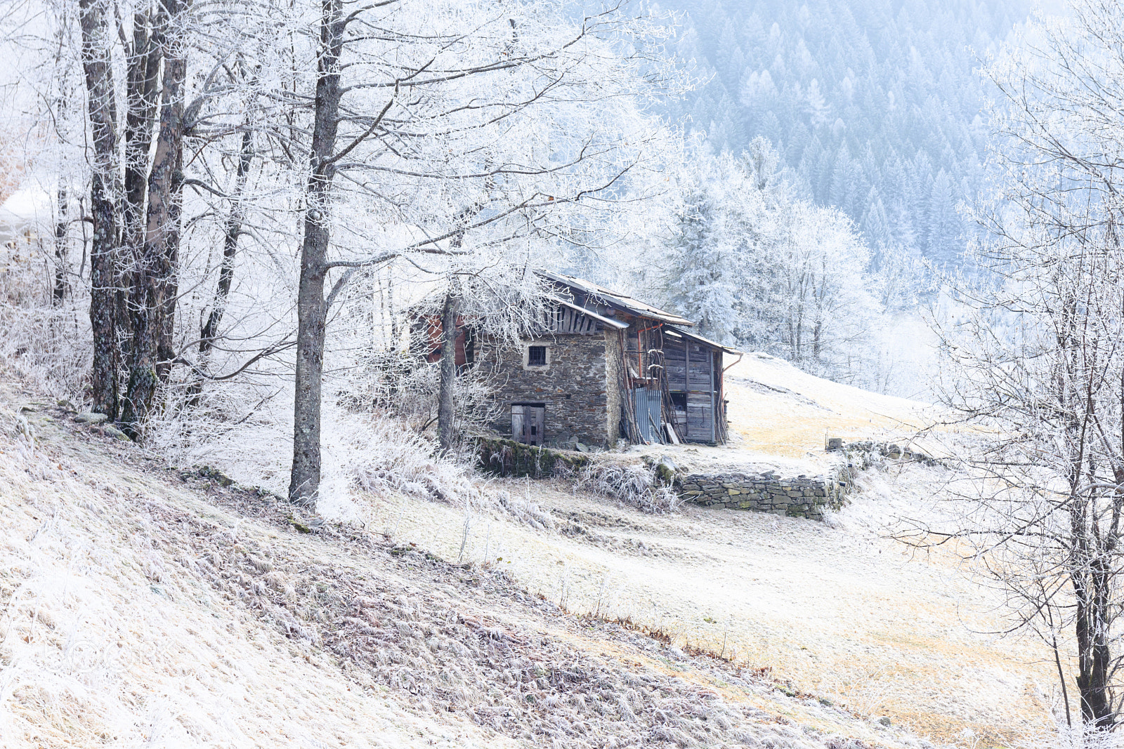 Sigma 17-70mm F2.8-4 DC Macro OS HSM | C sample photo. The fairy home photography
