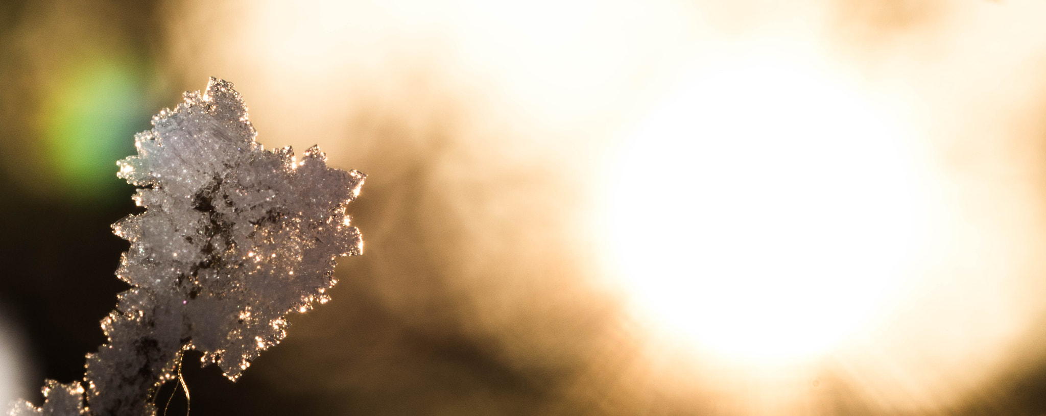 Sony SLT-A58 + 105mm F2.8 sample photo. Winter photography