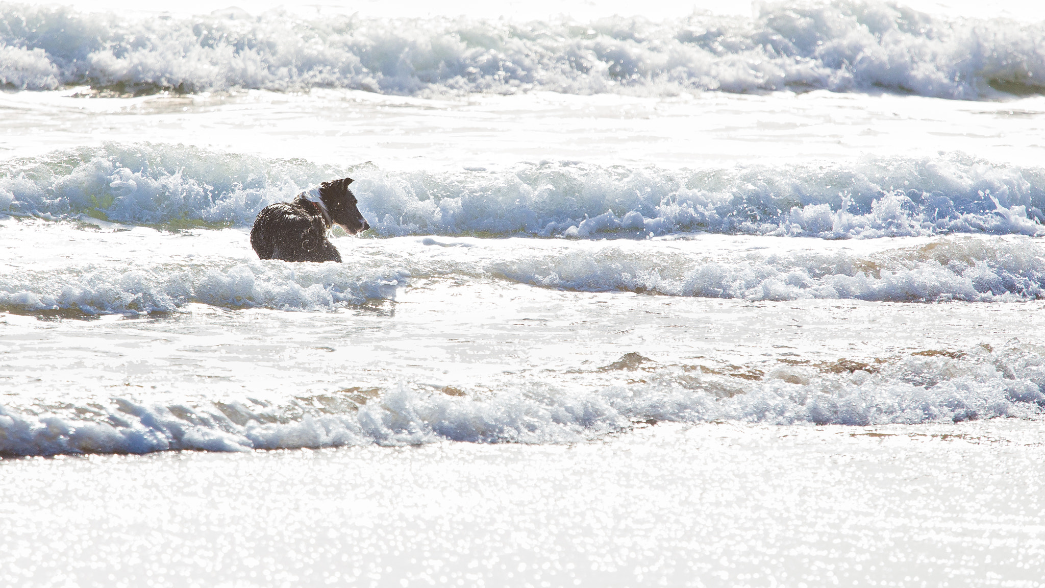 Canon EF 70-200mm F4L IS USM sample photo. Mac in the surf photography